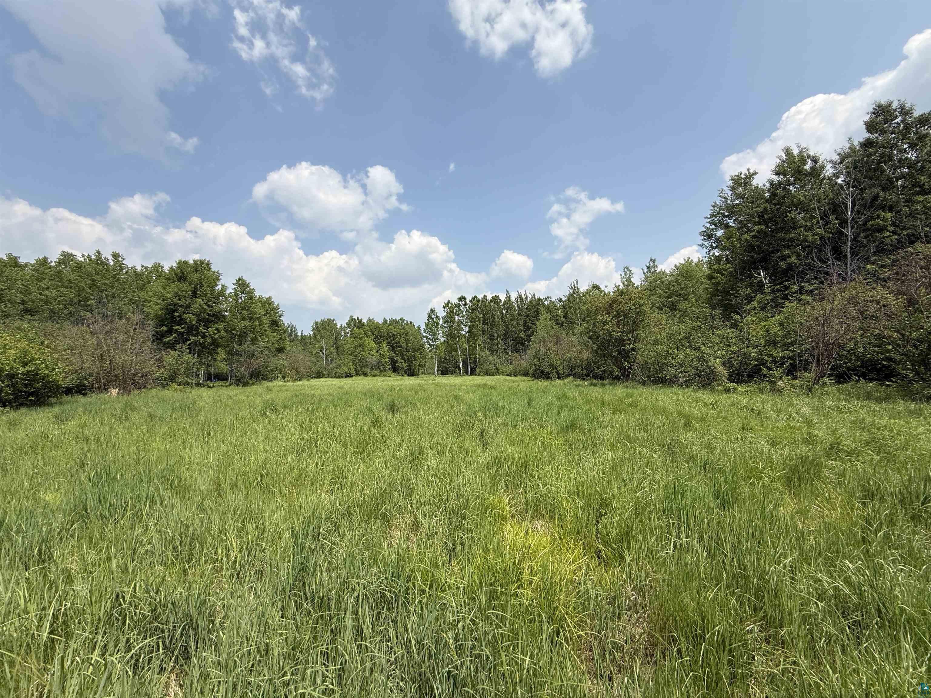 TBD Samuelson Rd, Angora, MN 55703 Listing Photo  22