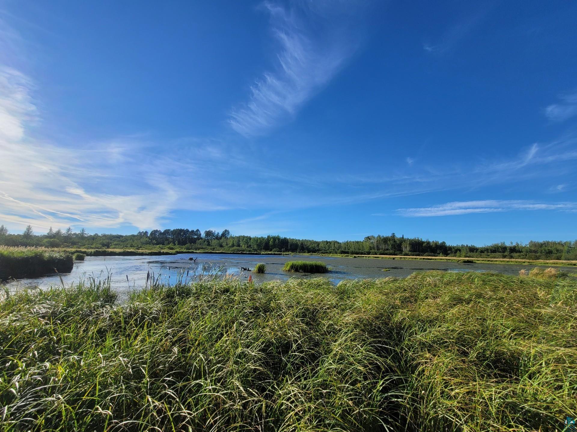 TBD Samuelson Rd, Angora, MN 55703 Listing Photo  23