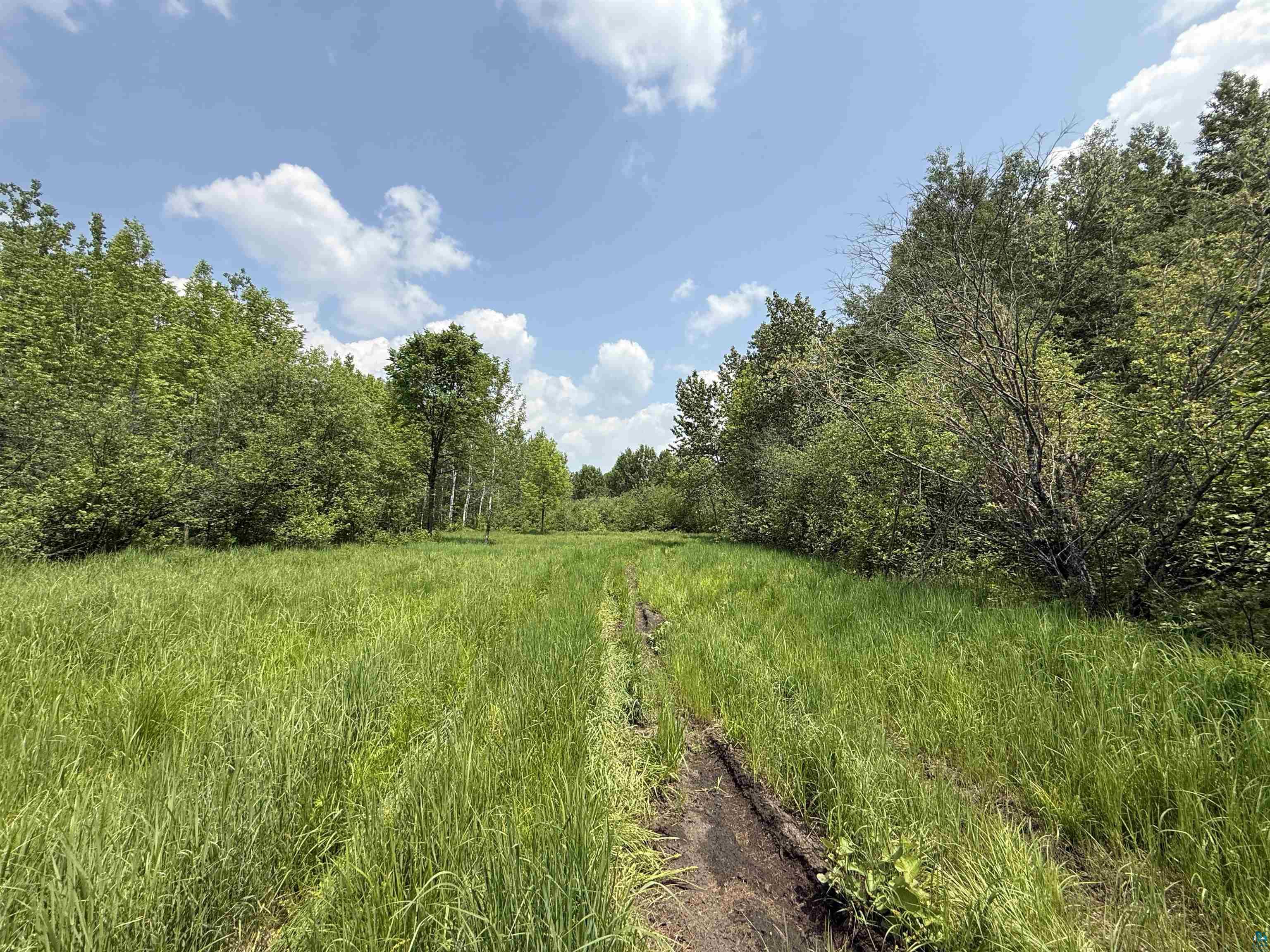 TBD Samuelson Rd, Angora, MN 55703 Listing Photo  24