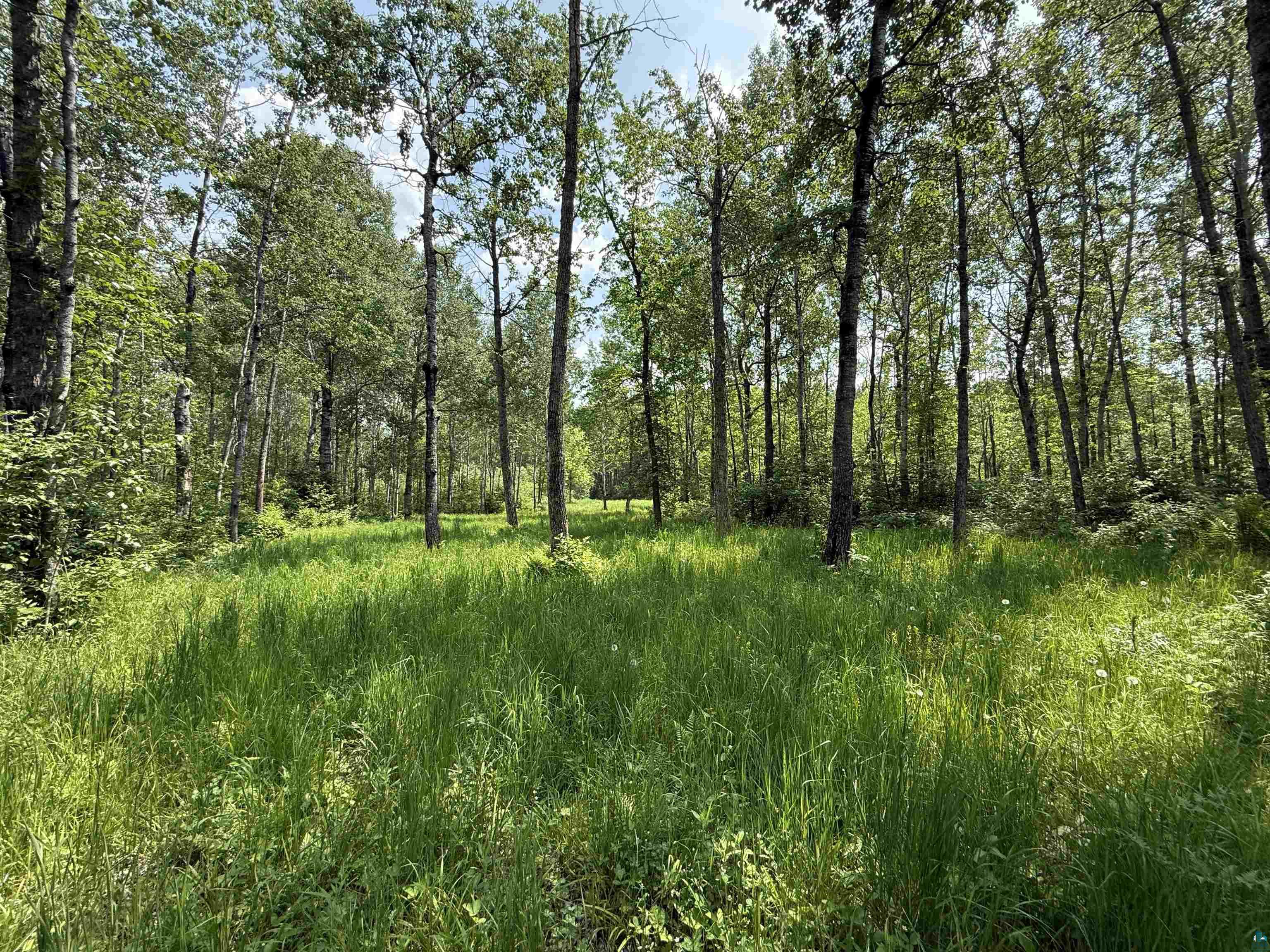 TBD Samuelson Rd, Angora, MN 55703 Listing Photo  25