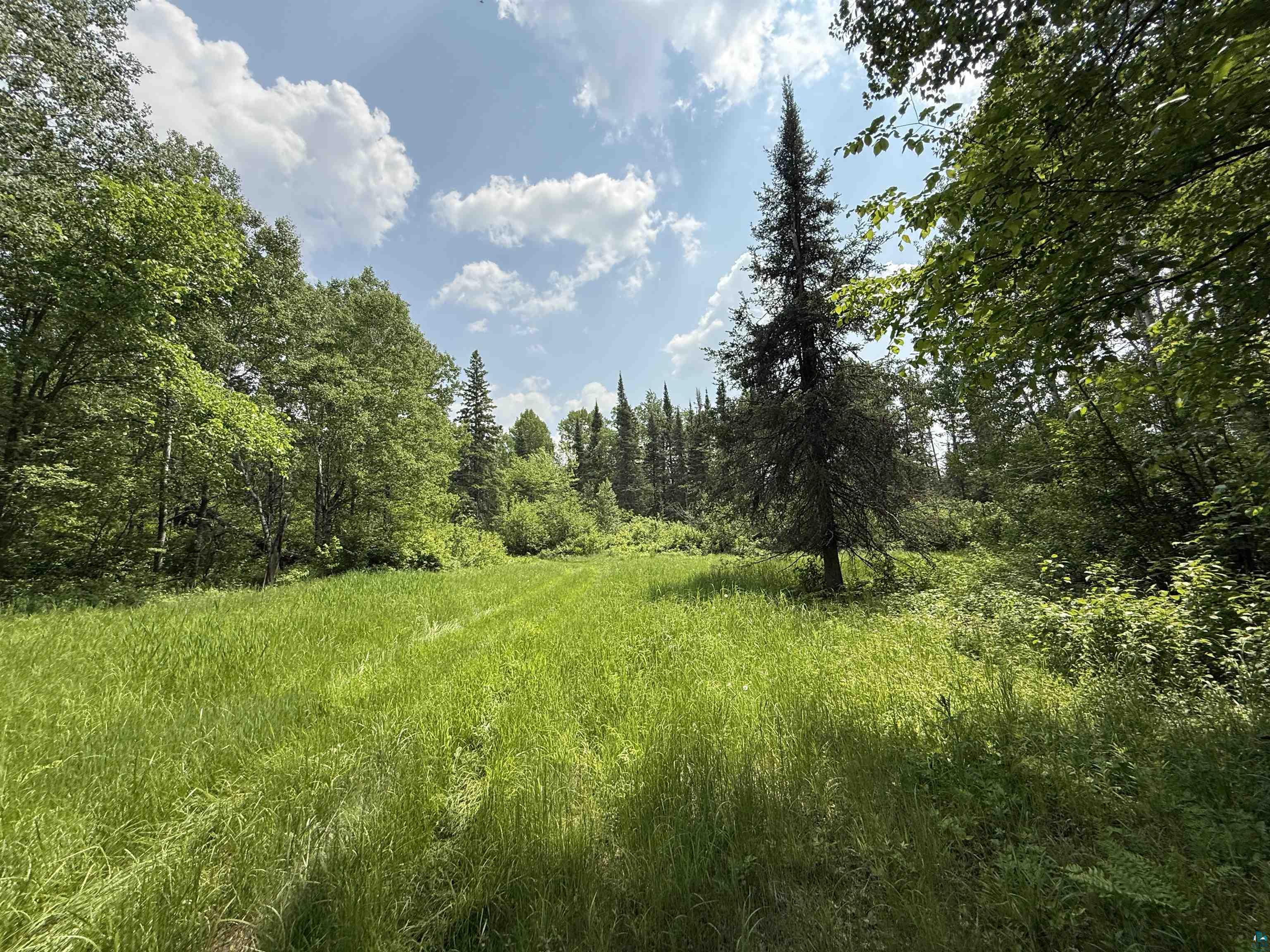 TBD Samuelson Rd, Angora, MN 55703 Listing Photo  26