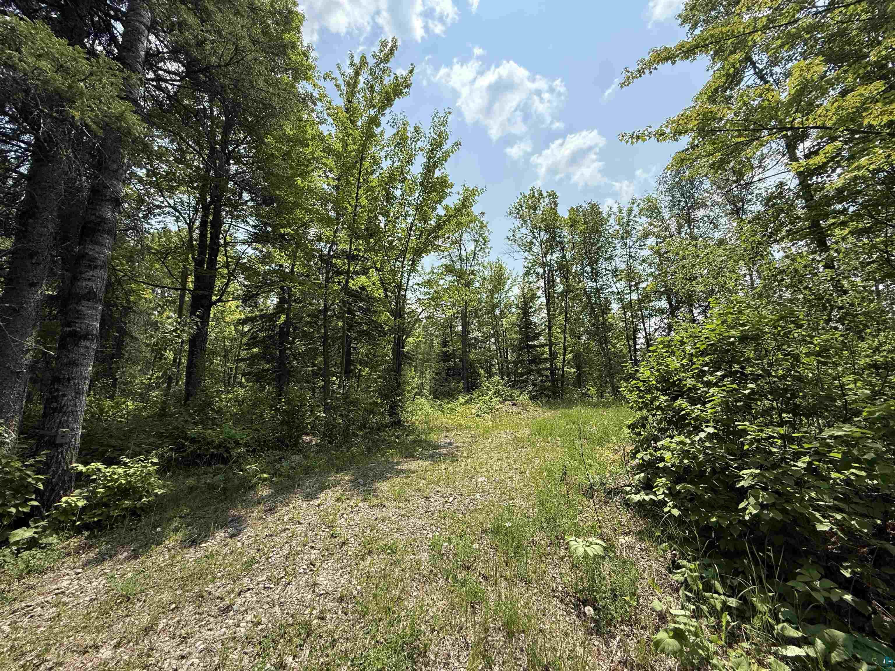 TBD Samuelson Rd, Angora, MN 55703 Listing Photo  27