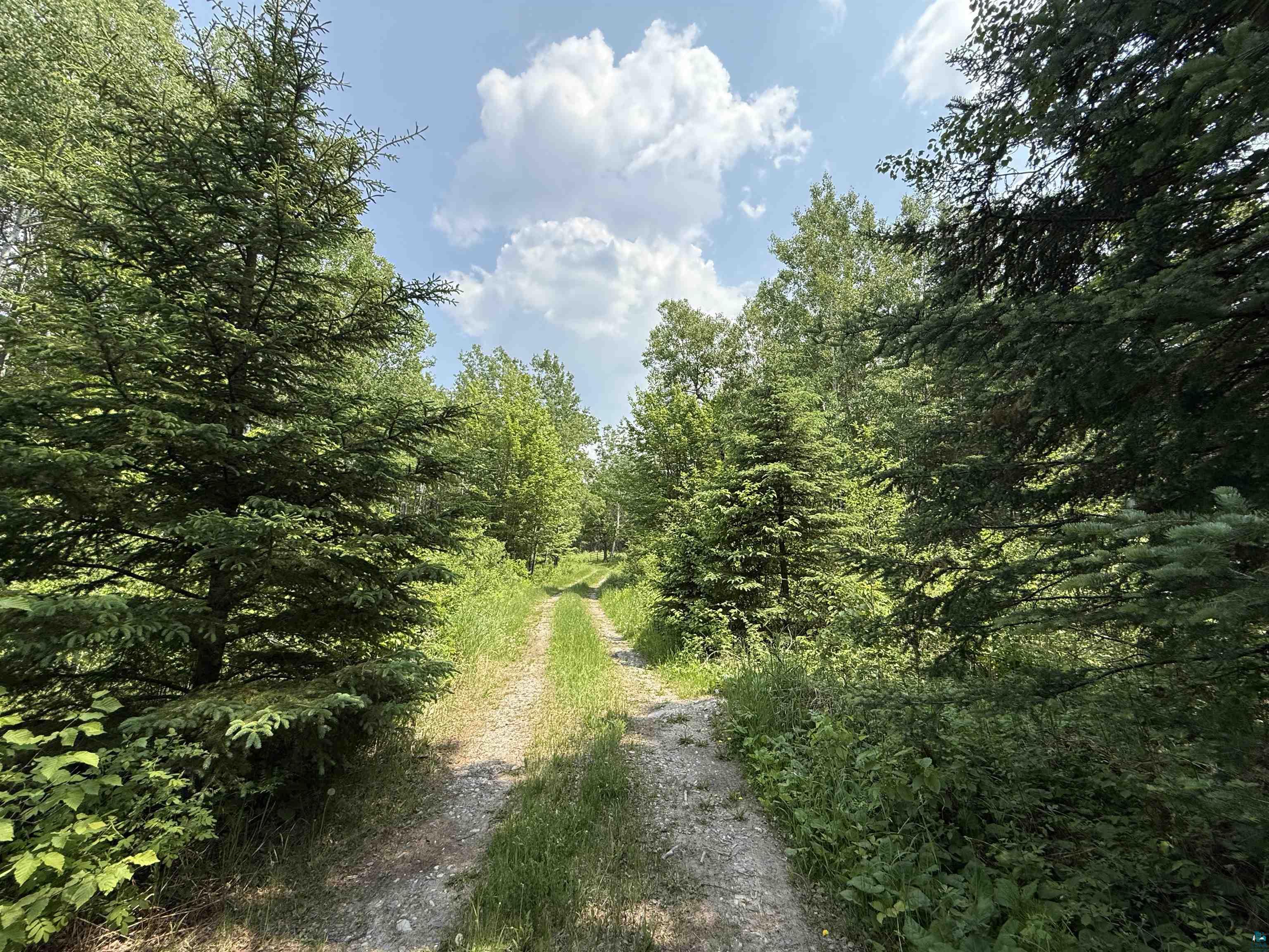 TBD Samuelson Rd, Angora, MN 55703 Listing Photo  28