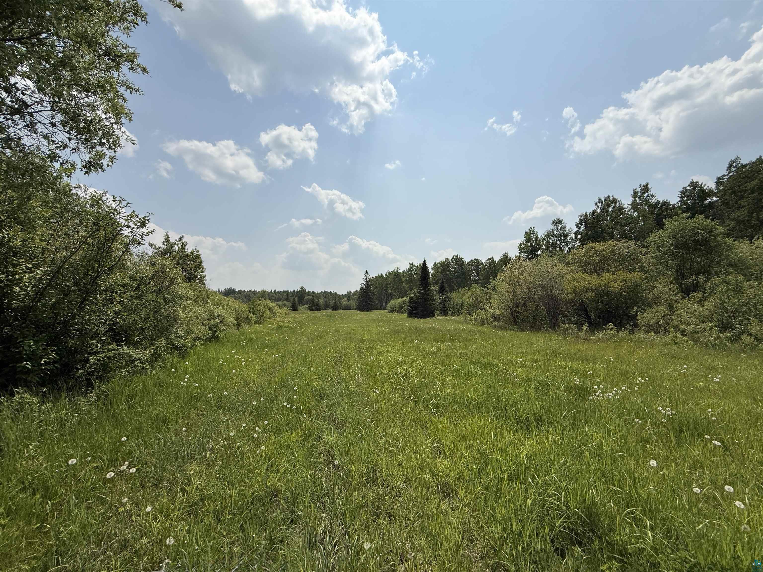 TBD Samuelson Rd, Angora, MN 55703 Listing Photo  29