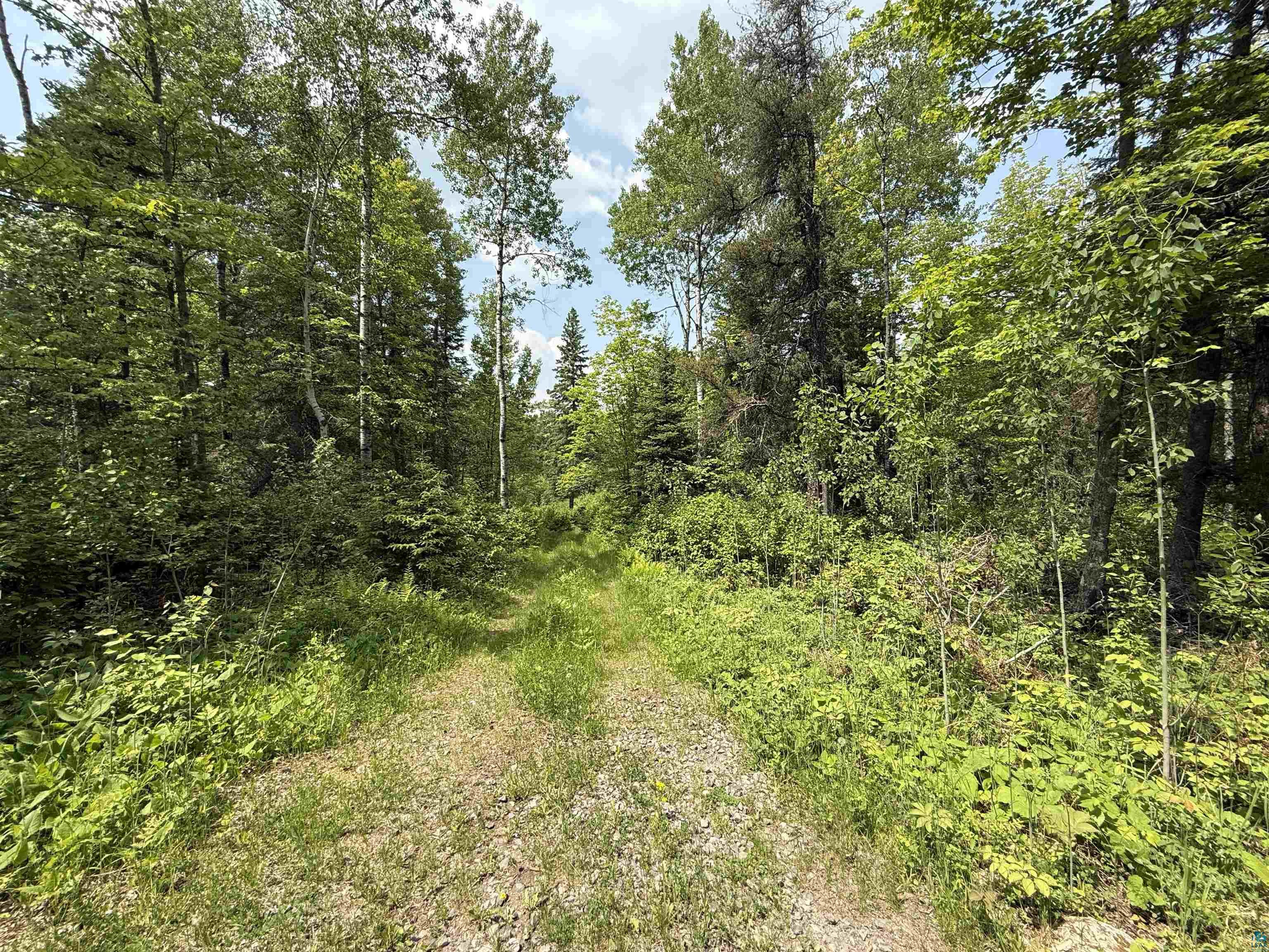 TBD Samuelson Rd, Angora, MN 55703 Listing Photo  4