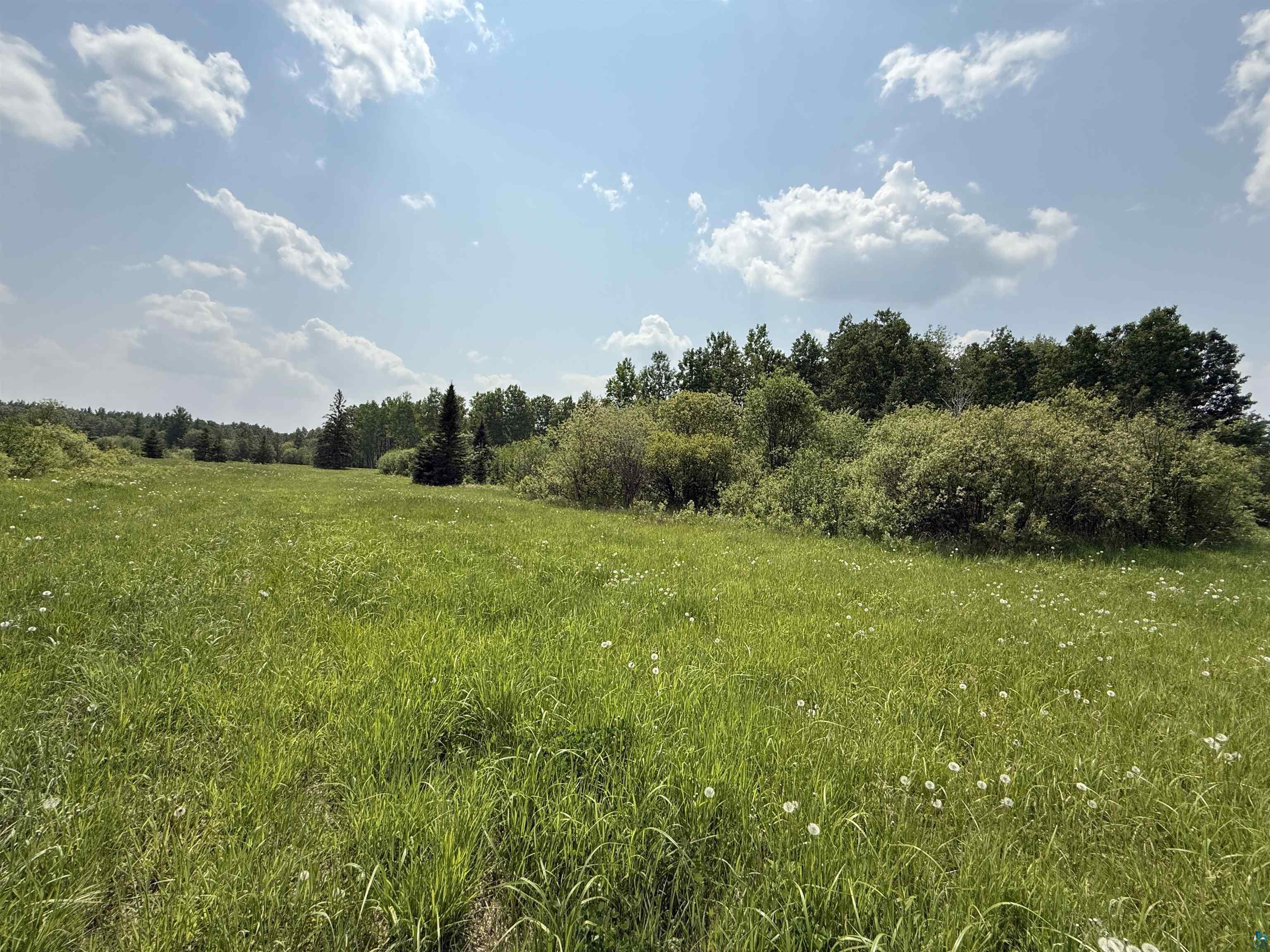TBD Samuelson Rd, Angora, MN 55703 Listing Photo  31