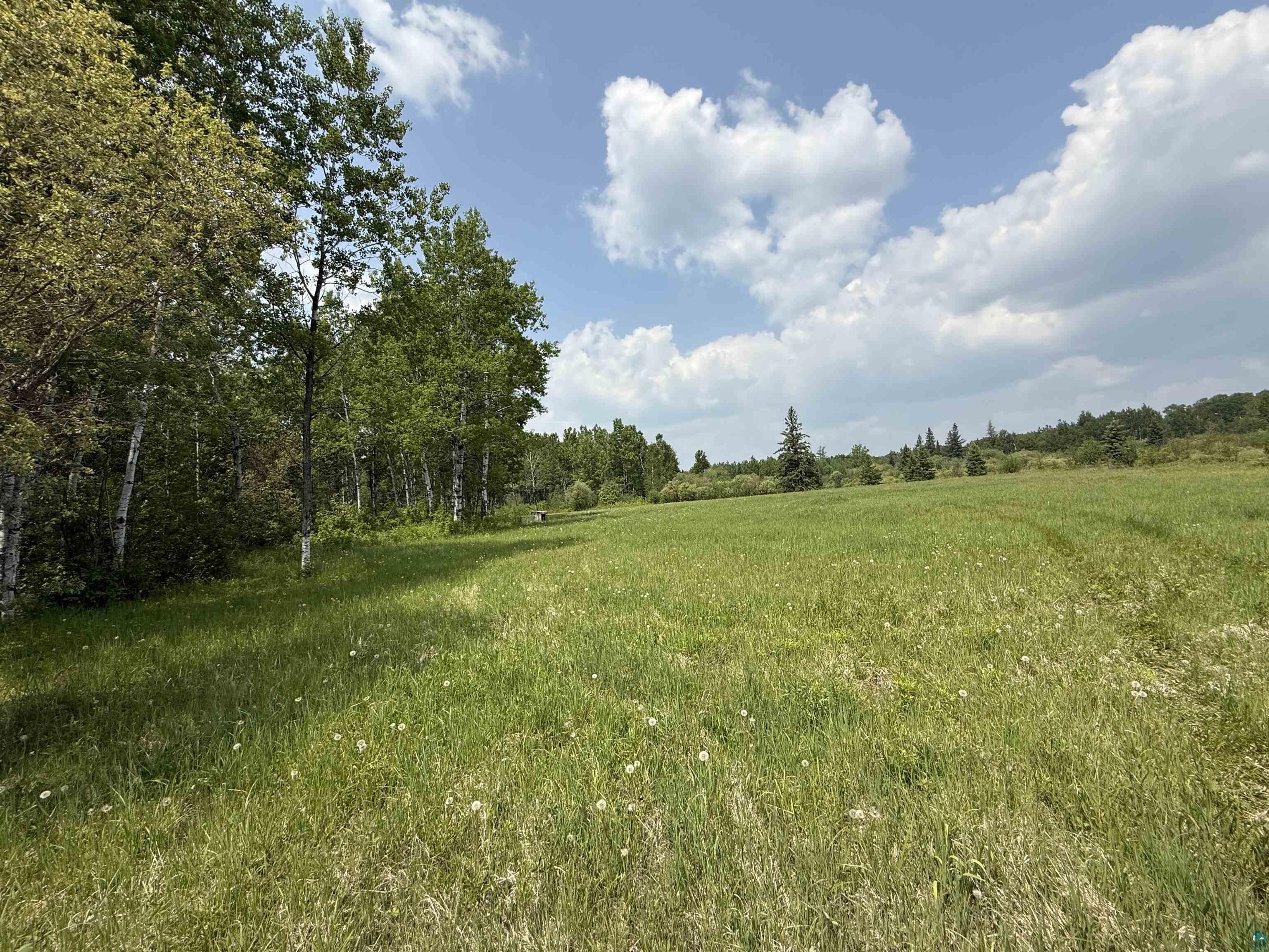TBD Samuelson Rd, Angora, MN 55703 Listing Photo  35