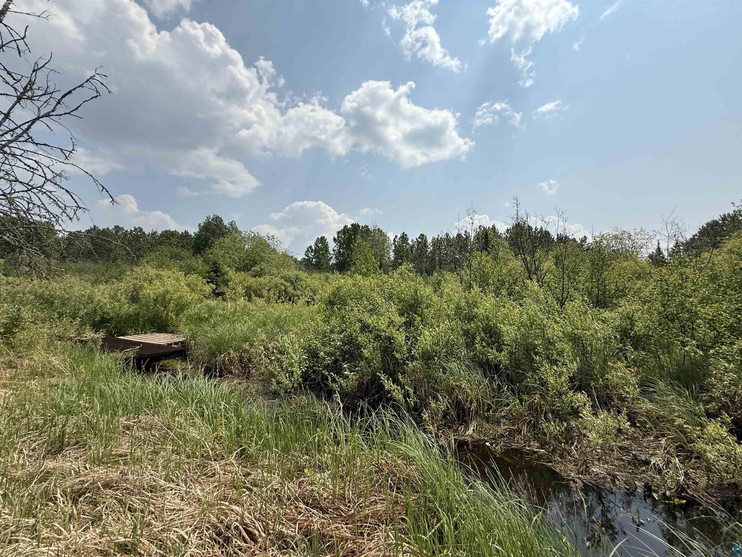 TBD Samuelson Rd, Angora, MN 55703 Listing Photo  36