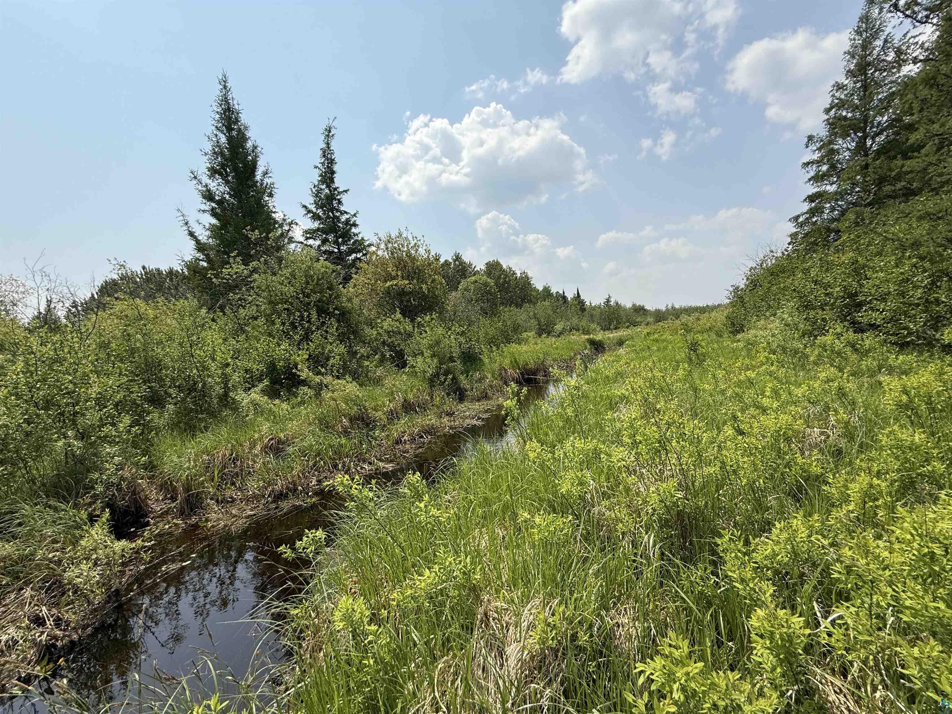 TBD Samuelson Rd, Angora, MN 55703 Listing Photo  37