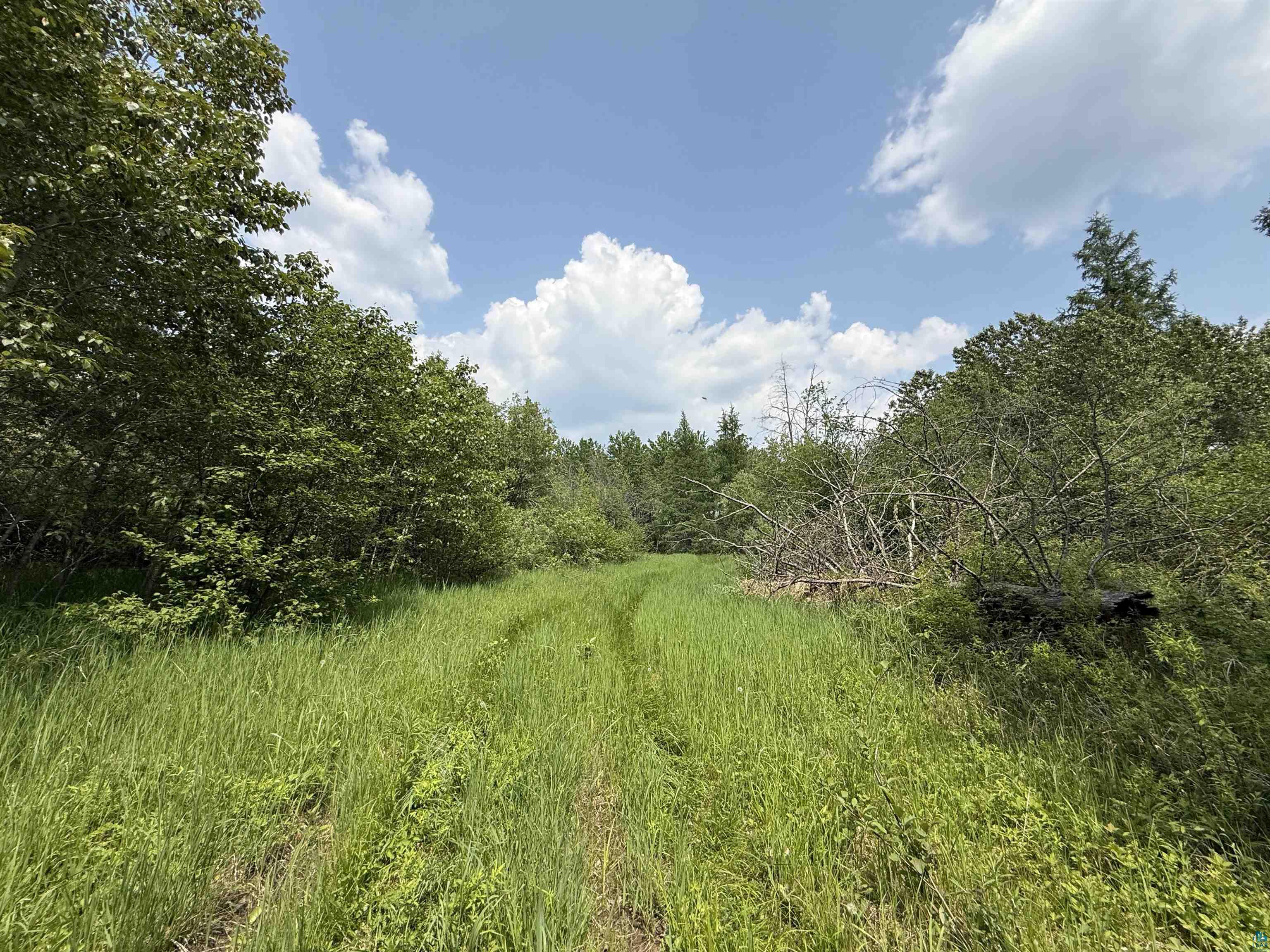 TBD Samuelson Rd, Angora, MN 55703 Listing Photo  38