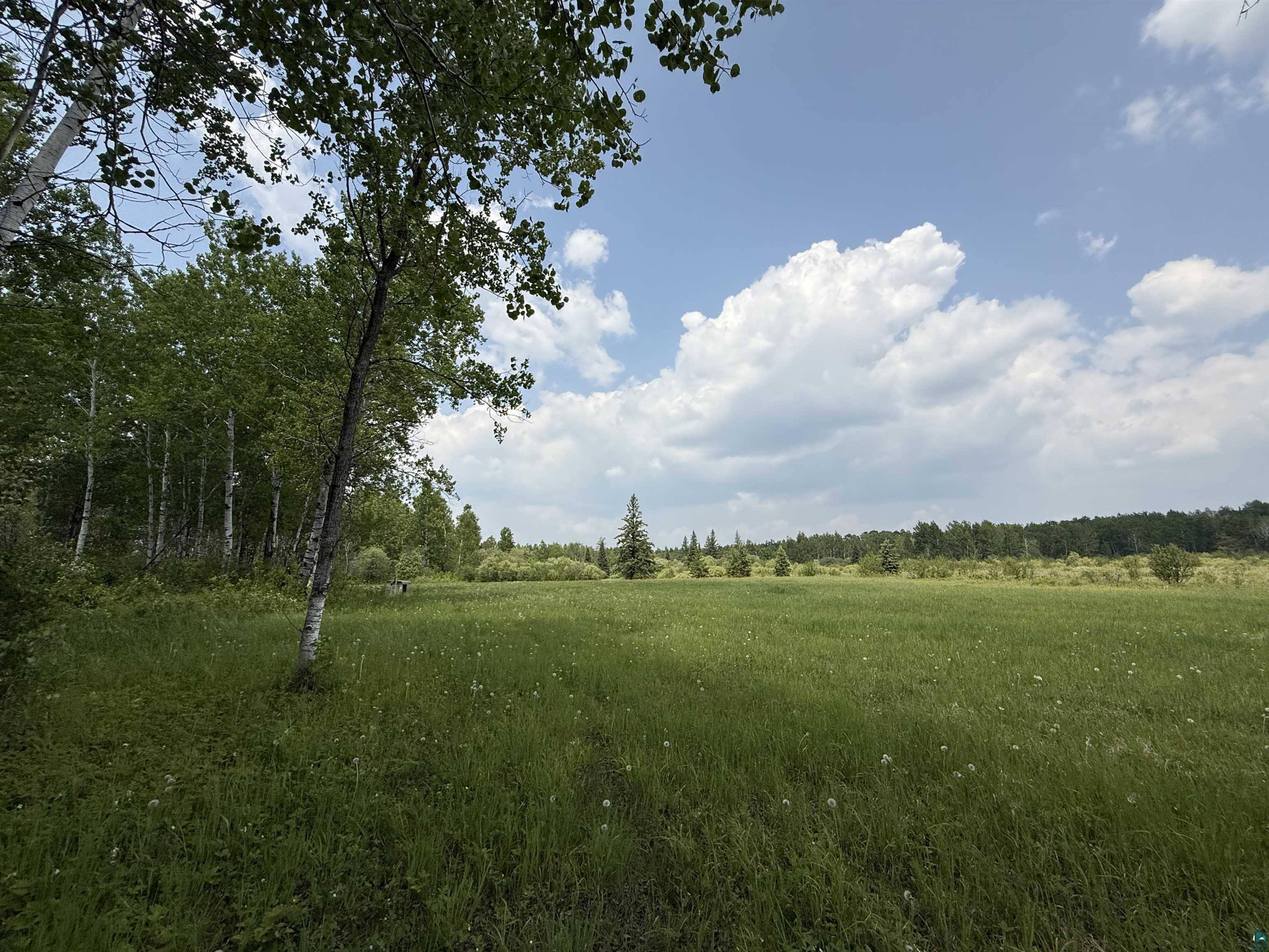 TBD Samuelson Rd, Angora, MN 55703 Listing Photo  39