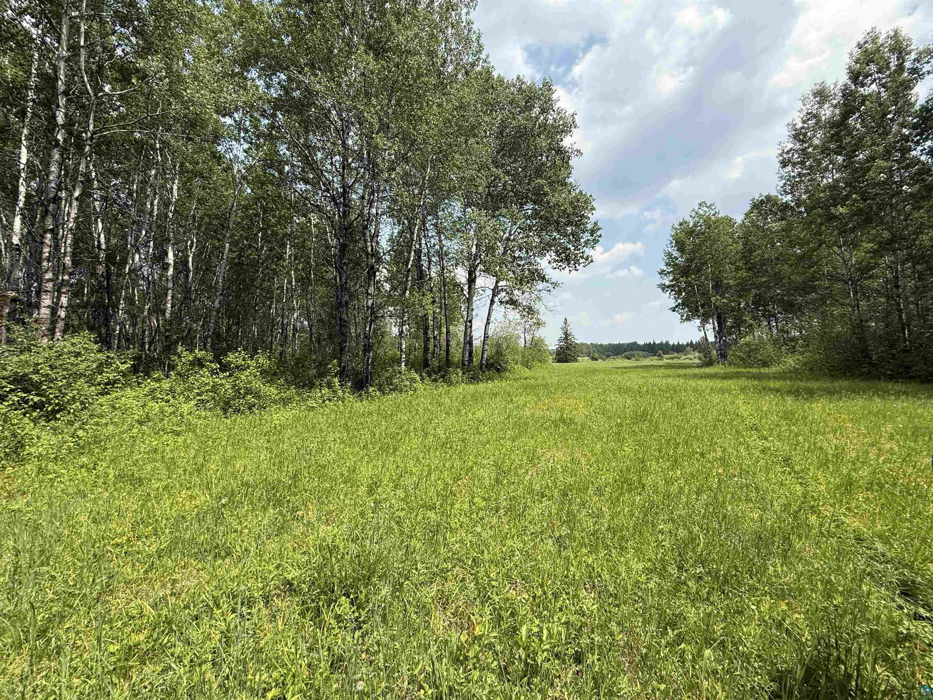 TBD Samuelson Rd, Angora, MN 55703 Listing Photo  40