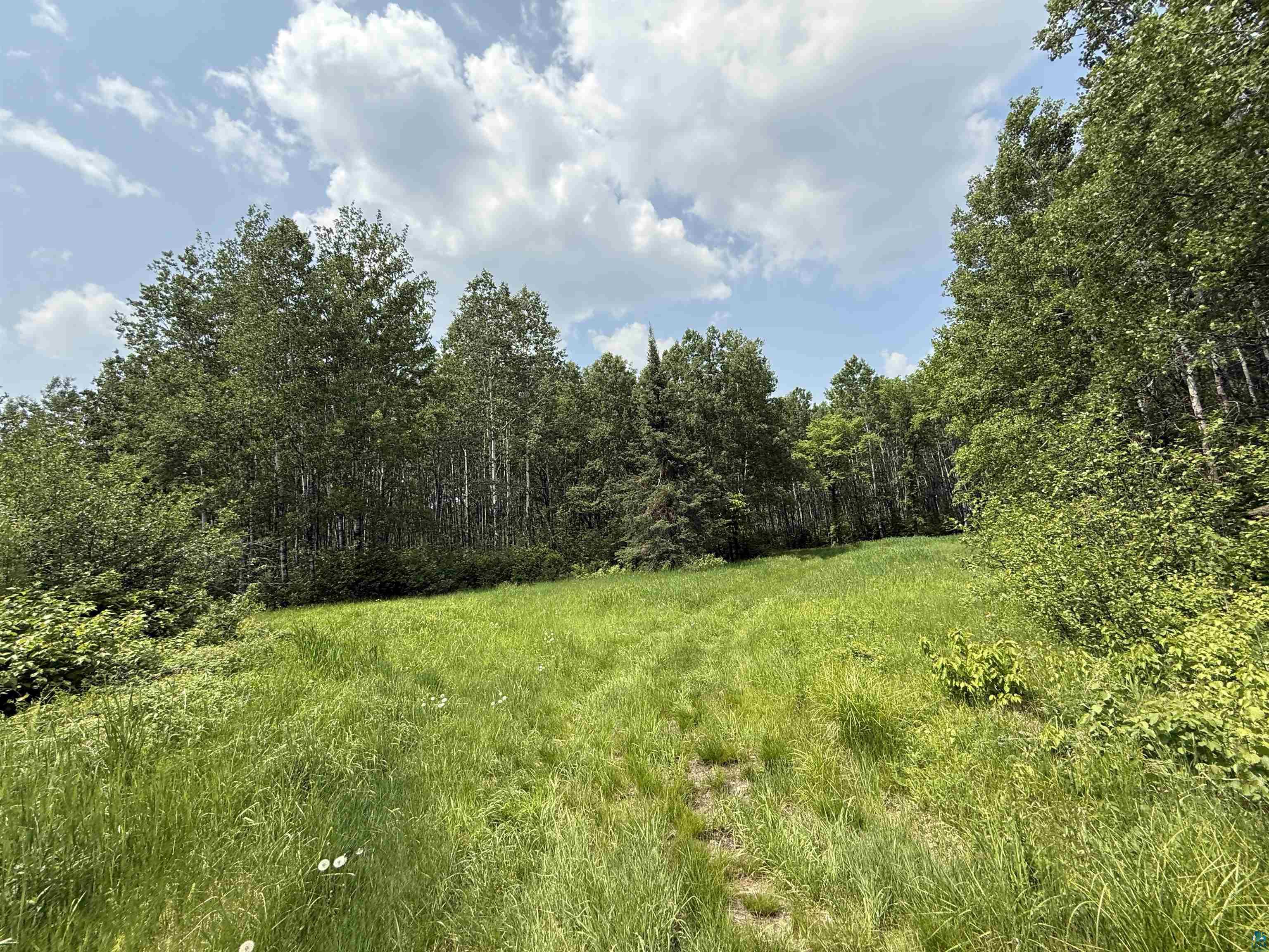 TBD Samuelson Rd, Angora, MN 55703 Listing Photo  5