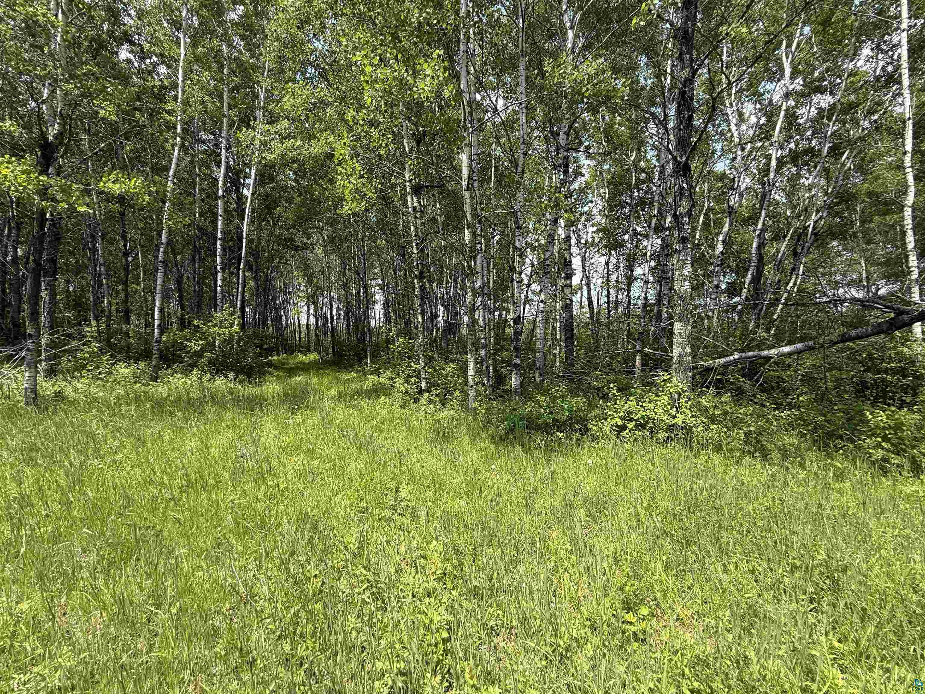TBD Samuelson Rd, Angora, MN 55703 Listing Photo  41
