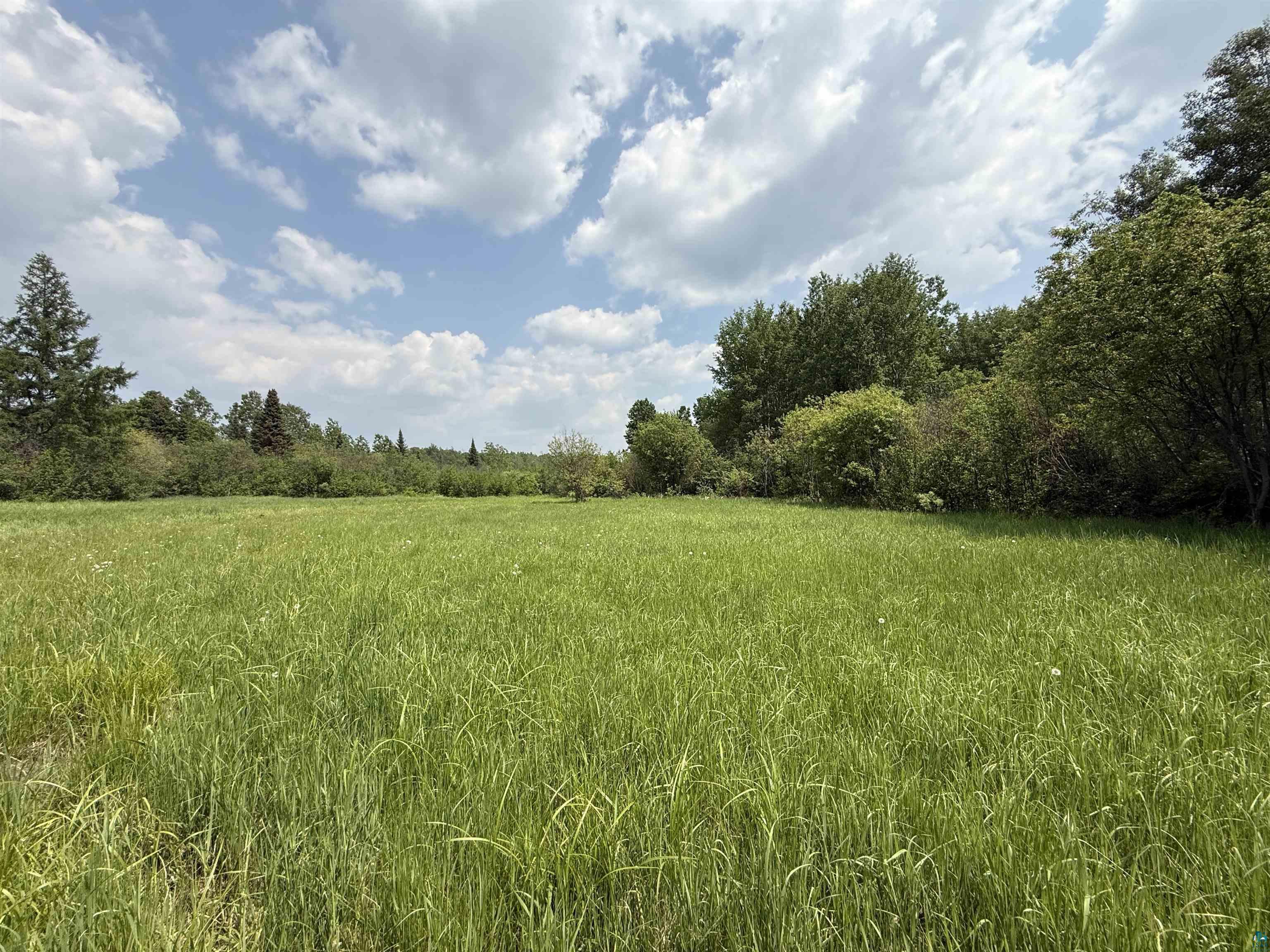 TBD Samuelson Rd, Angora, MN 55703 Listing Photo  42