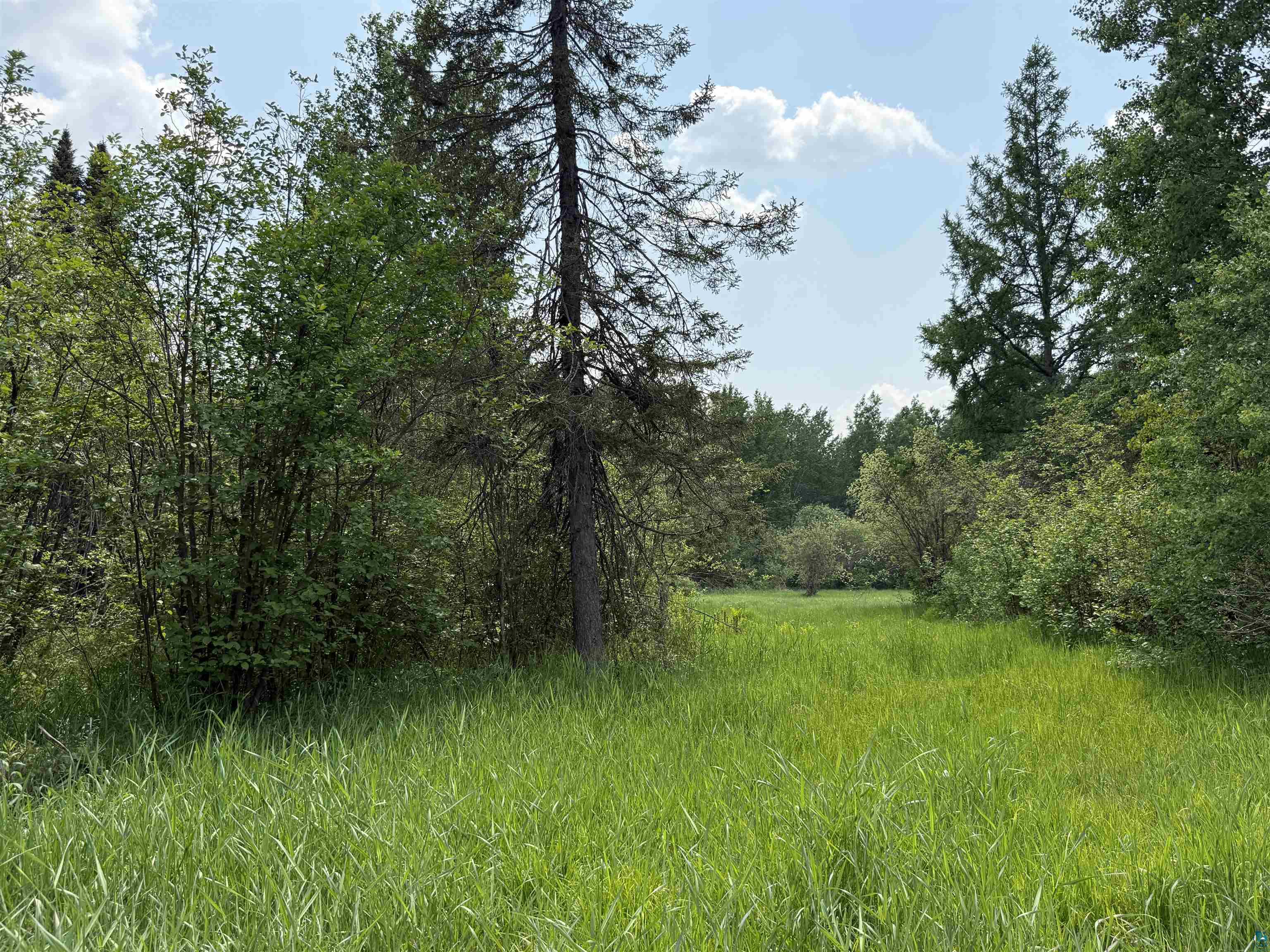 TBD Samuelson Rd, Angora, MN 55703 Listing Photo  43