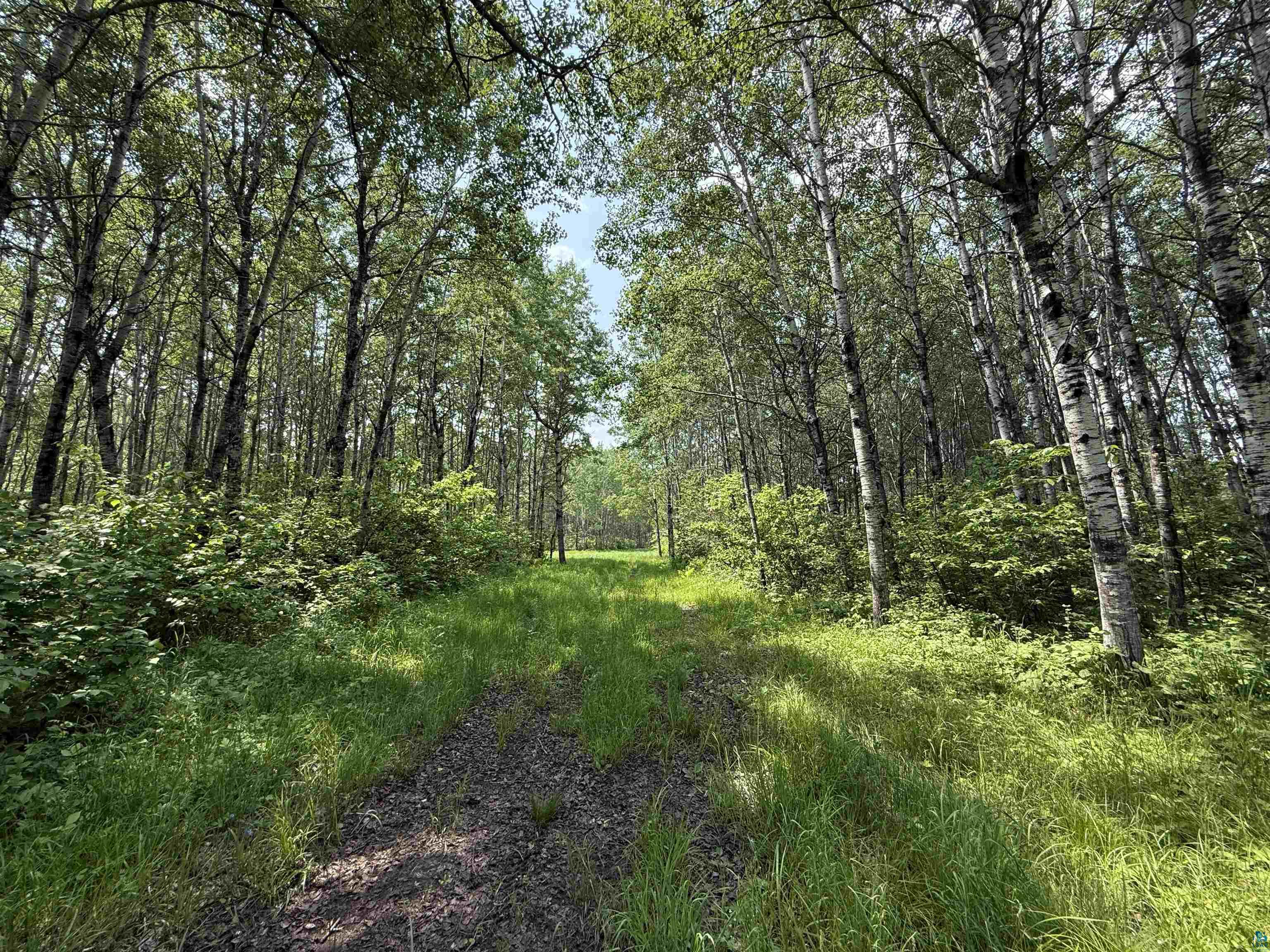 TBD Samuelson Rd, Angora, MN 55703 Listing Photo  6