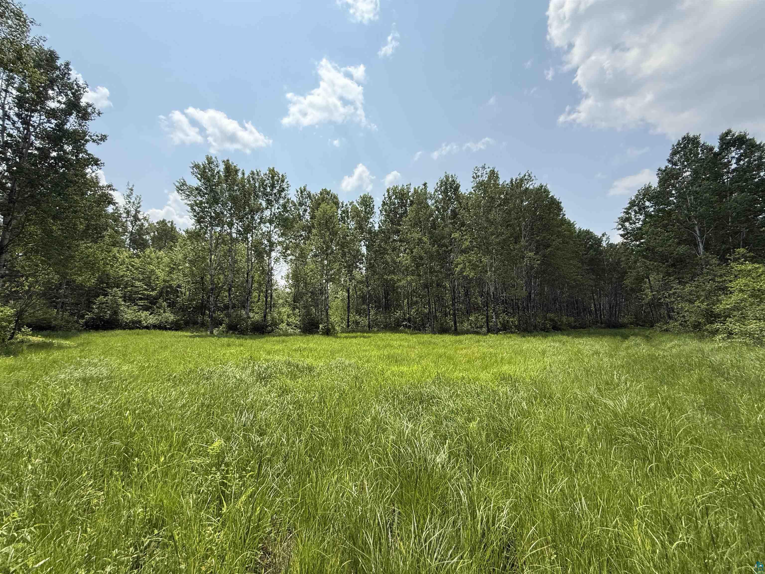 TBD Samuelson Rd, Angora, MN 55703 Listing Photo  7