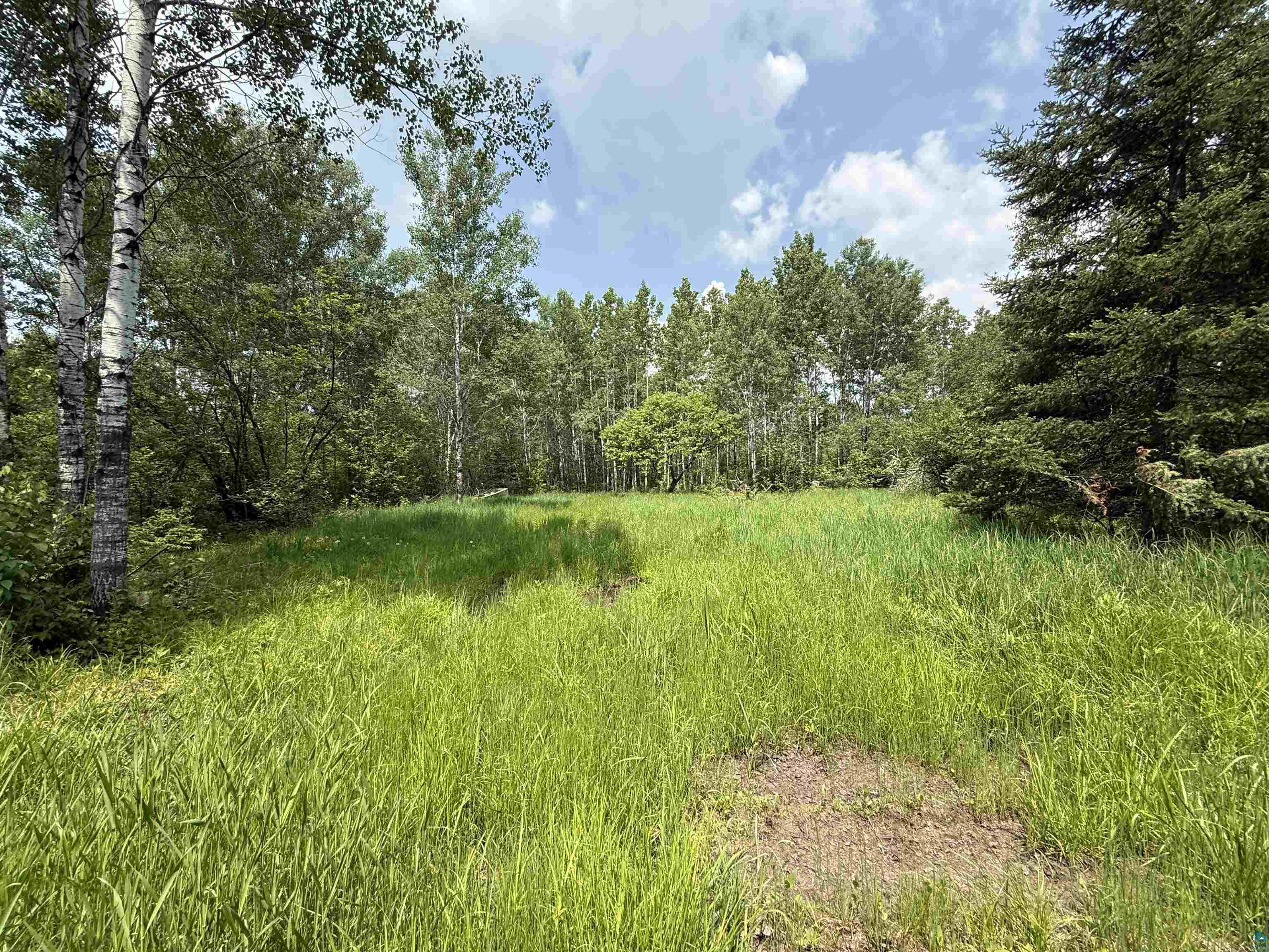 TBD Samuelson Rd, Angora, MN 55703 Listing Photo  8