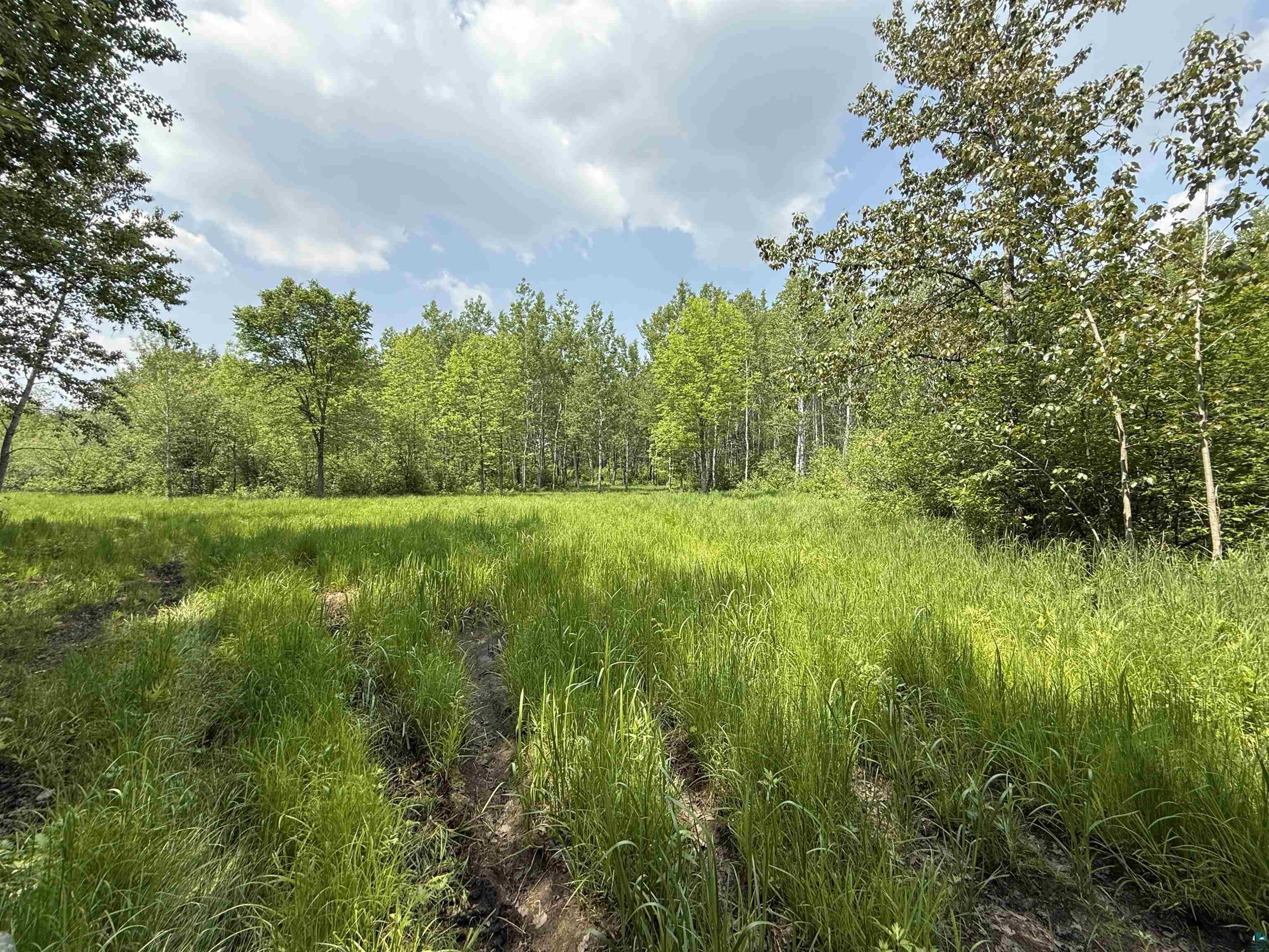 TBD Samuelson Rd, Angora, MN 55703 Listing Photo  9