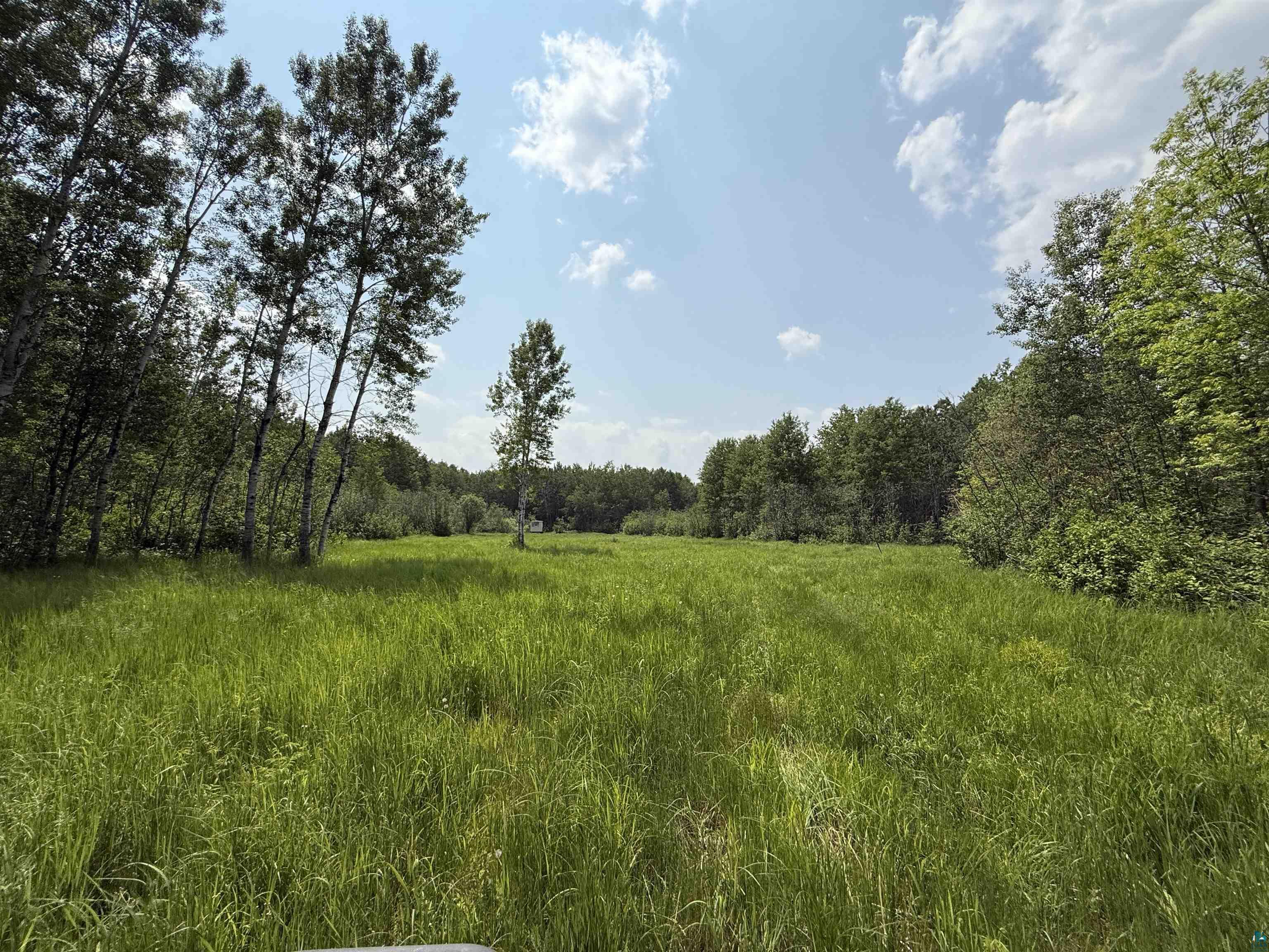 TBD Samuelson Rd, Angora, MN 55703 Listing Photo  10
