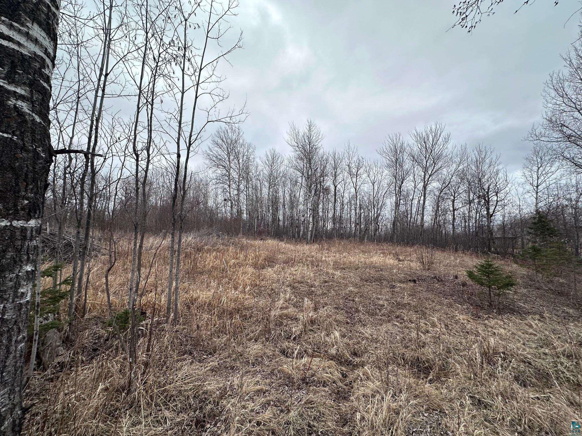 1209 39th Ave E, Superior, WI 54880 Listing Photo  5