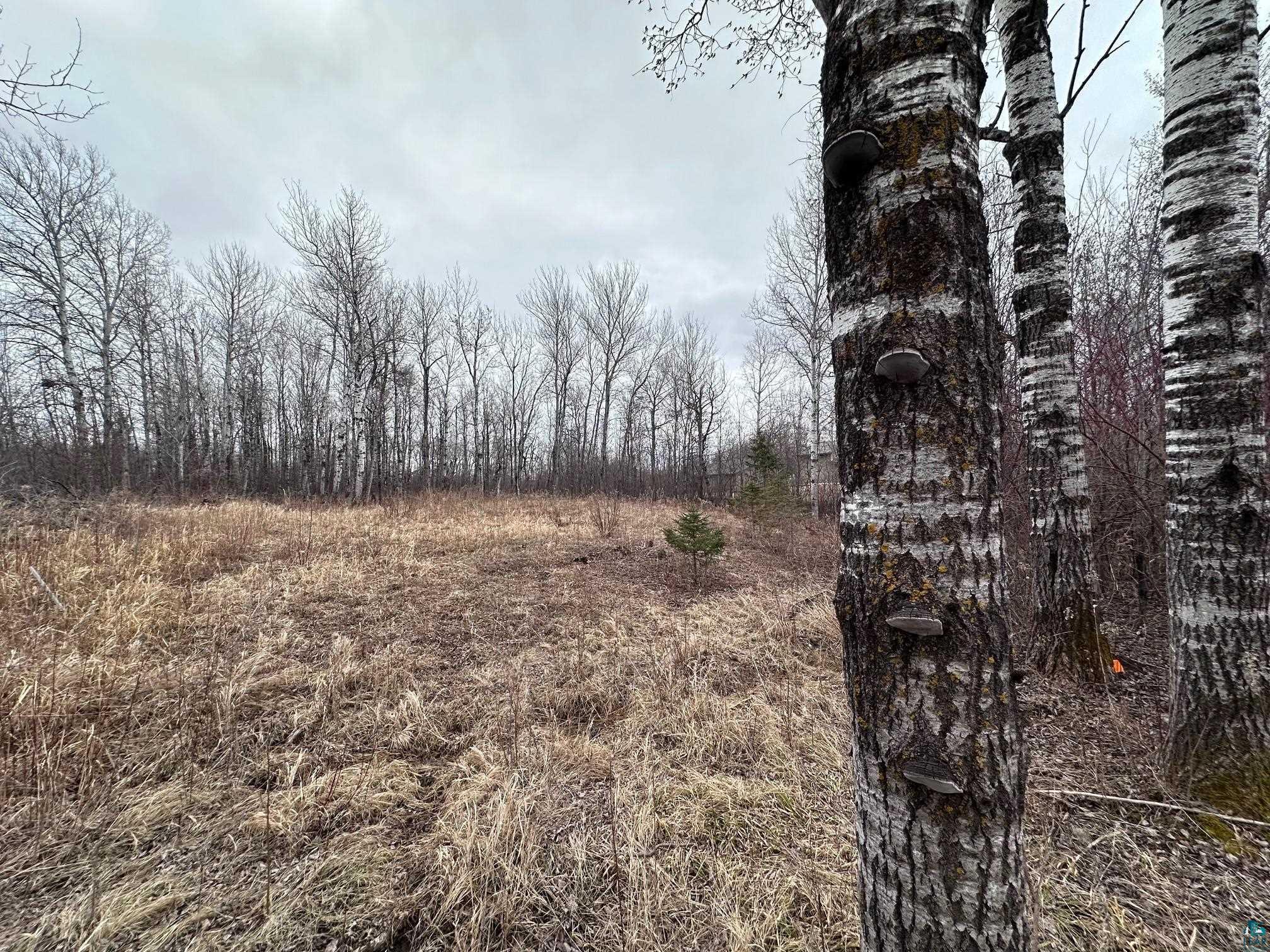 1209 39th Ave E, Superior, WI 54880 Listing Photo  6