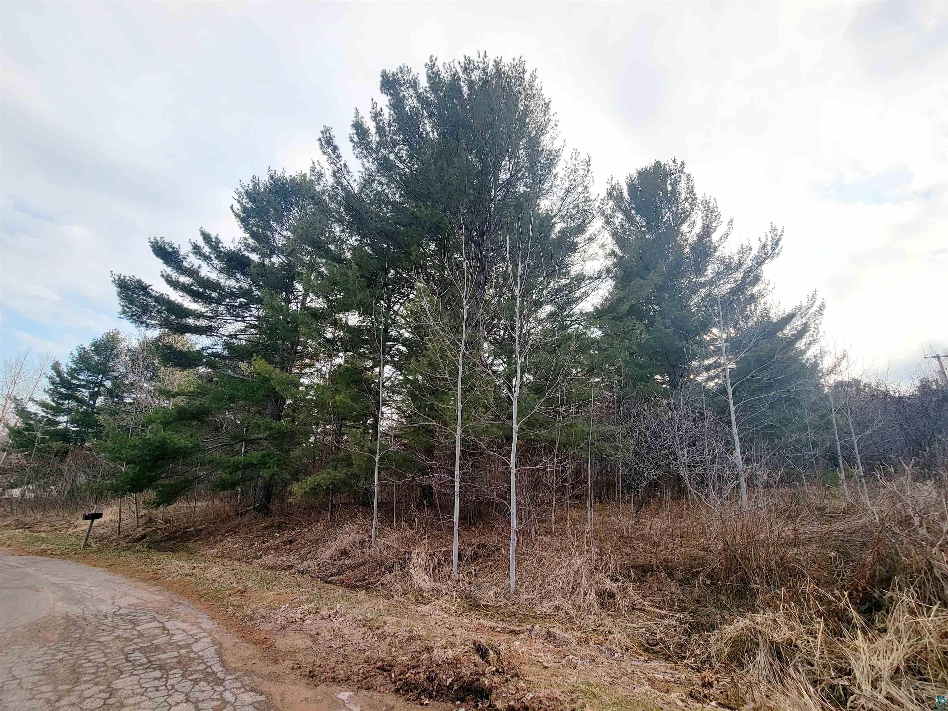 N 2nd St, Bayfield, WI 54814 Listing Photo  2