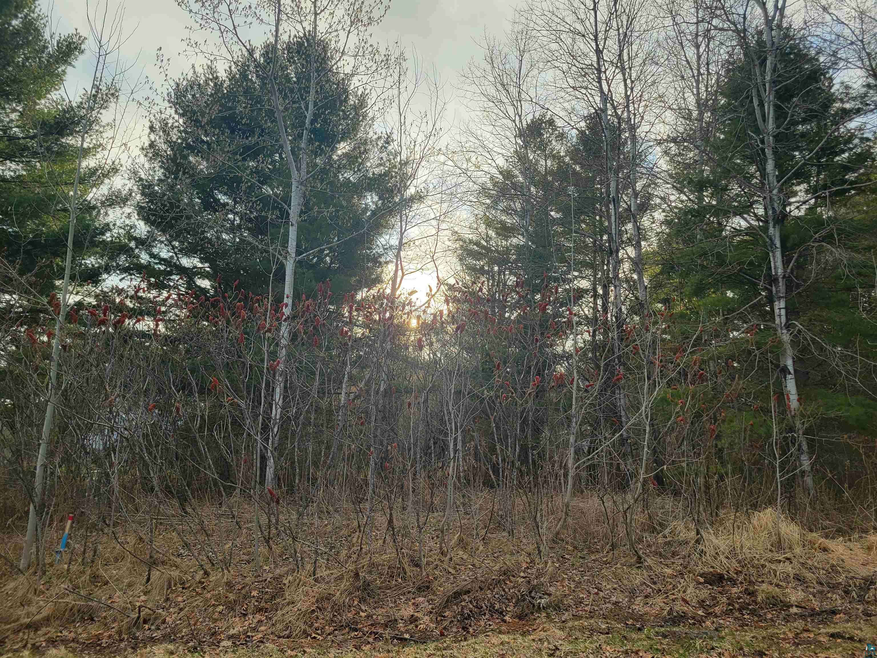 N 2nd St, Bayfield, WI 54814 Listing Photo  5