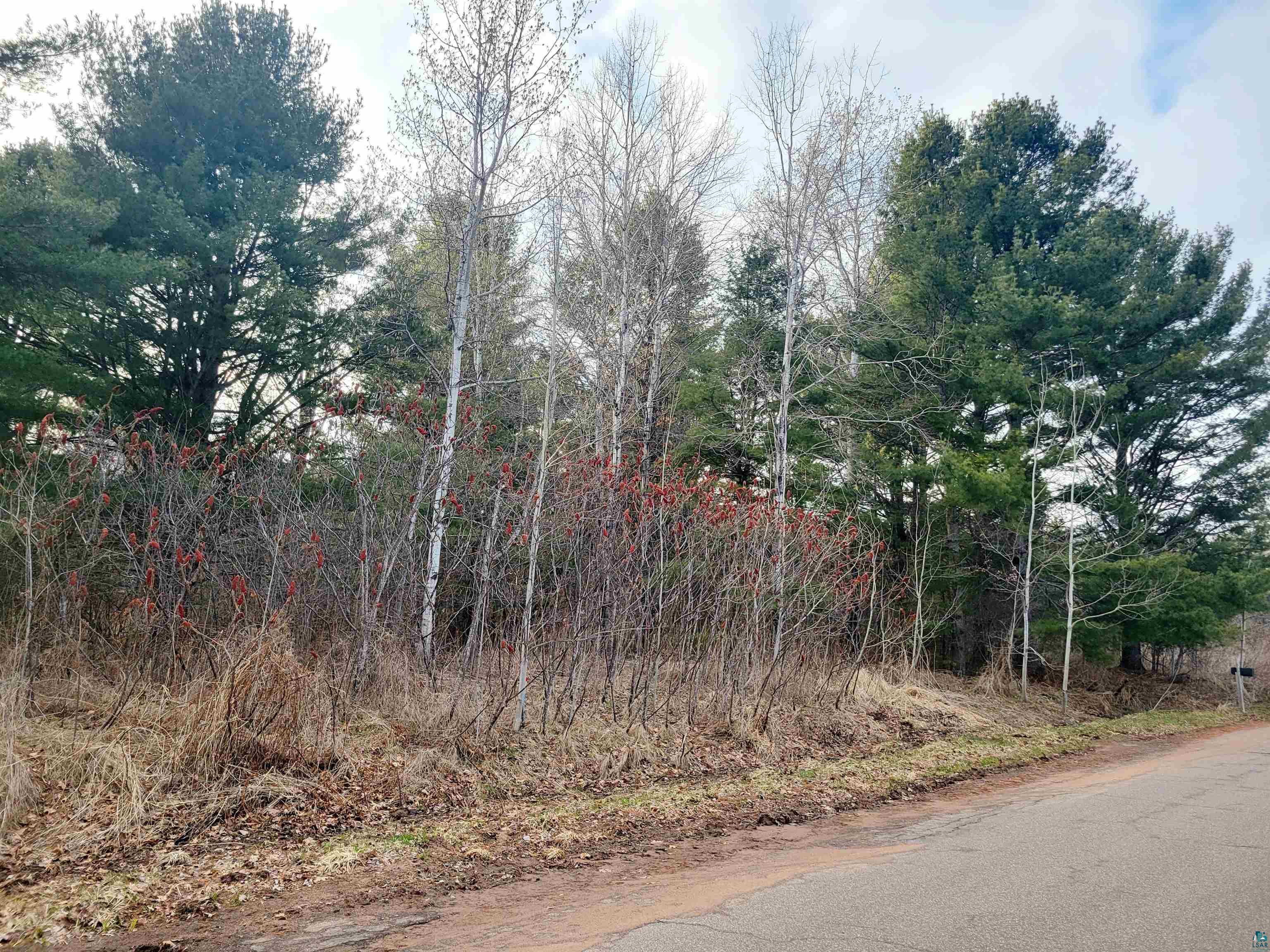N 2nd St, Bayfield, WI 54814 Listing Photo  6