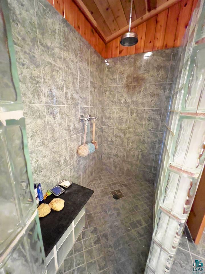 X Waters Island, Ely, MN 55731 Listing Photo  13
