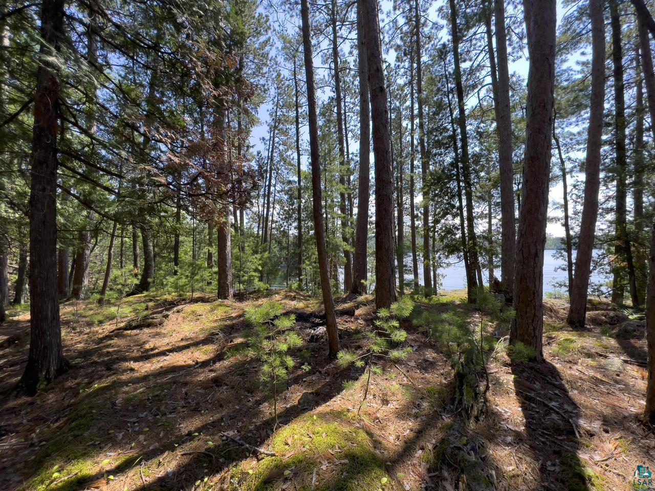X Waters Island, Ely, MN 55731 Listing Photo  42