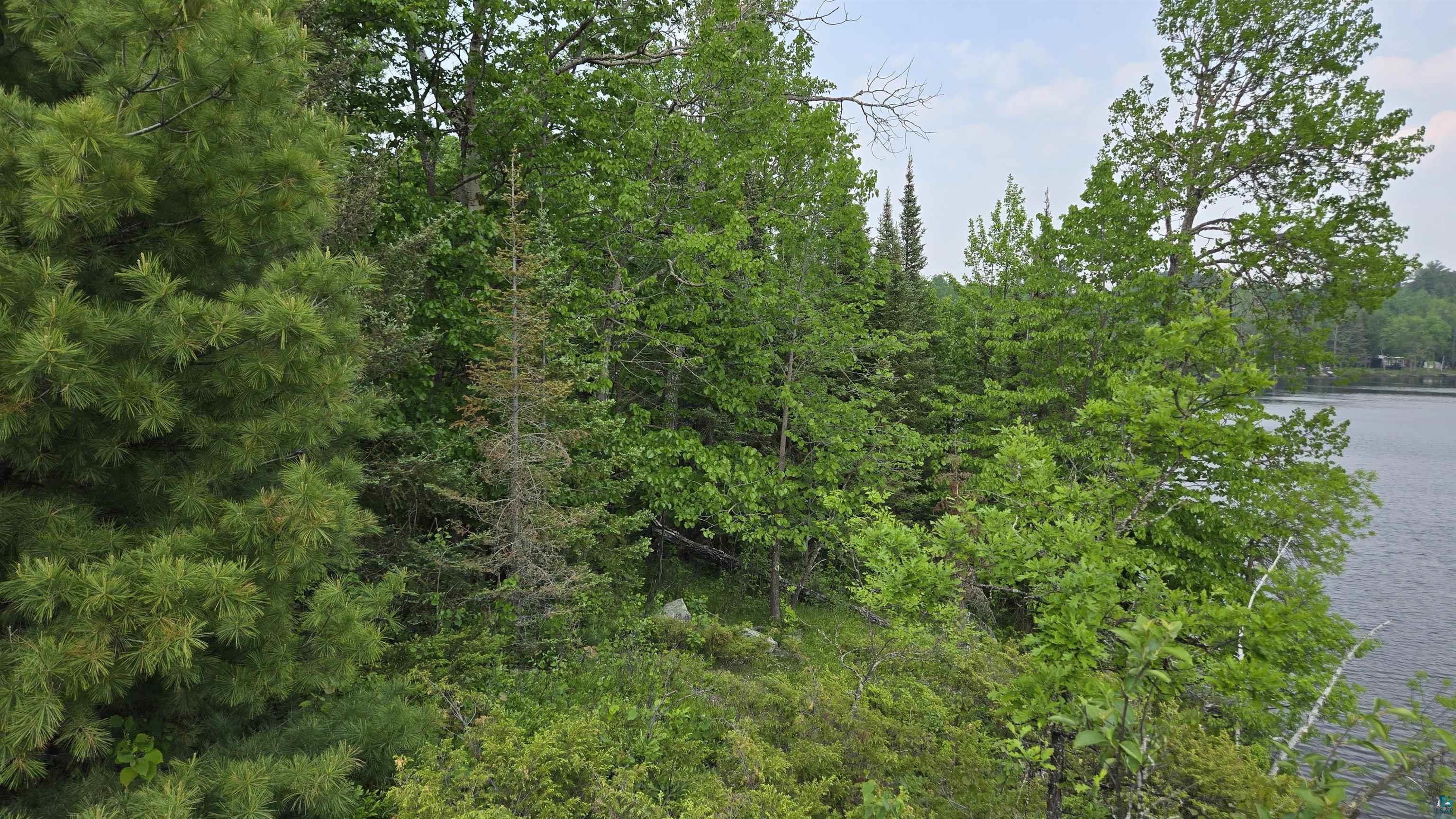 xxx 11.82 Bessette Rd, Orr, MN 55771 Listing Photo  29