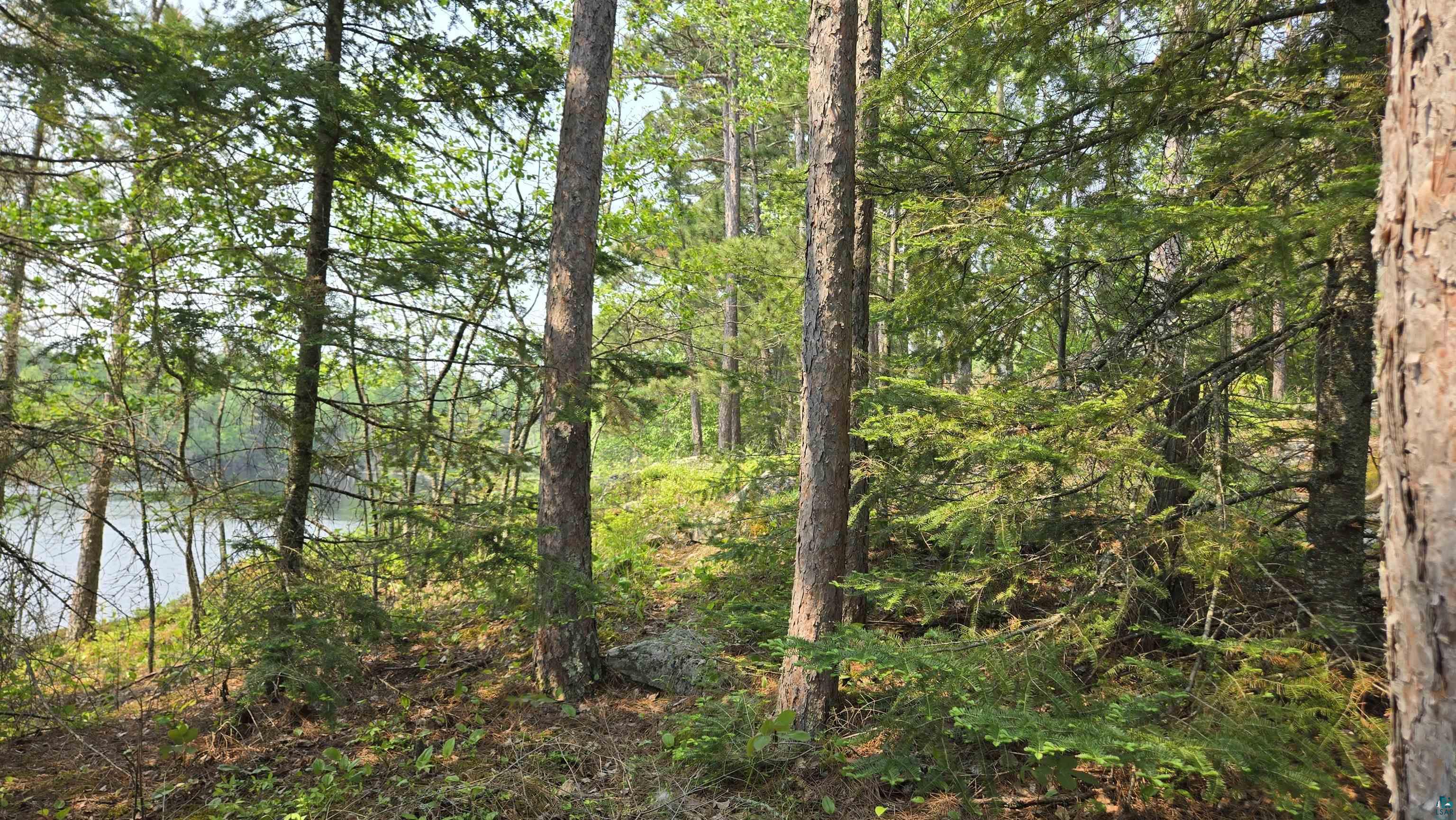 xxx 11.82 Bessette Rd, Orr, MN 55771 Listing Photo  32