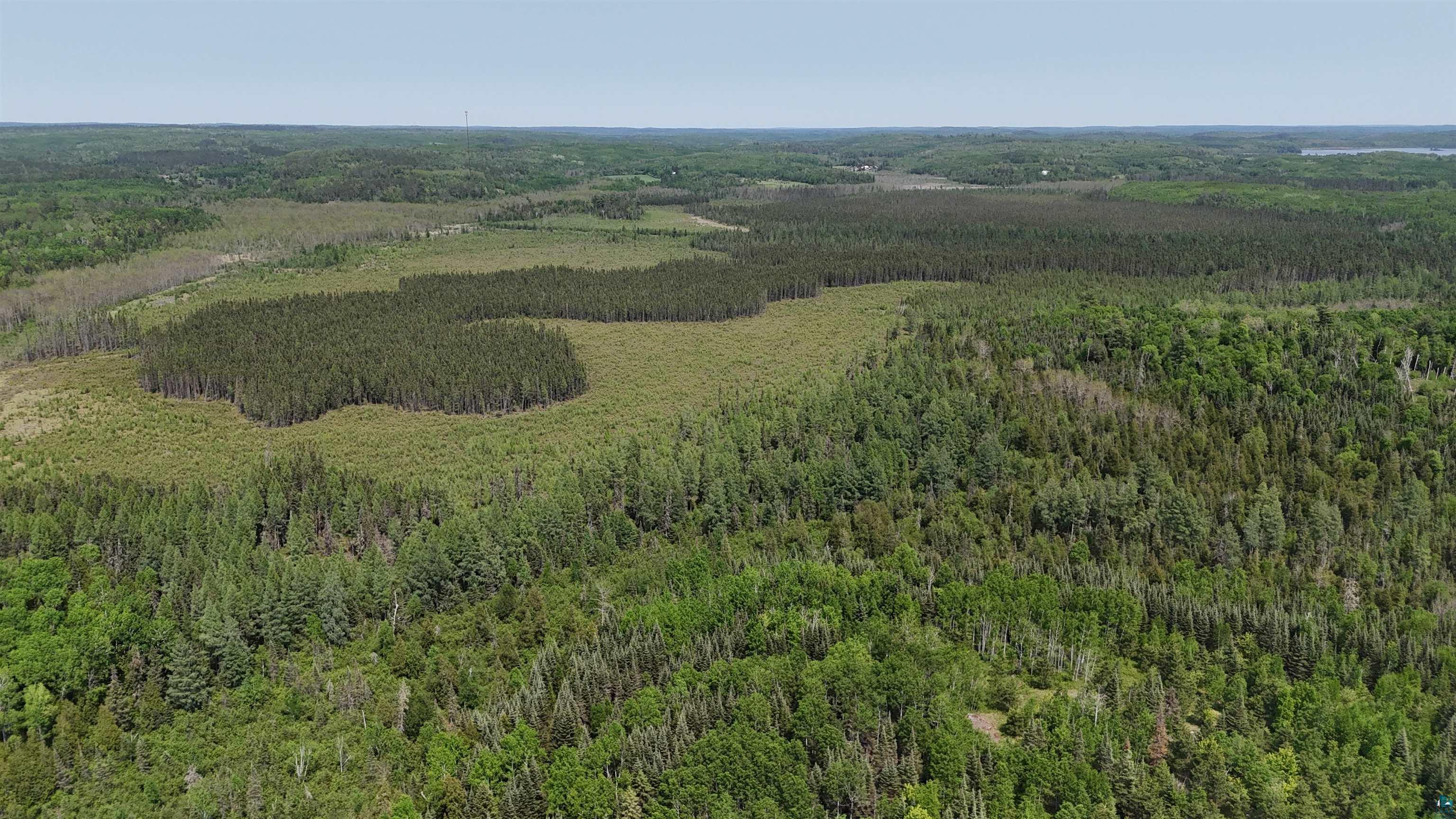 xxx 11.82 Bessette Rd, Orr, MN 55771 Listing Photo  43