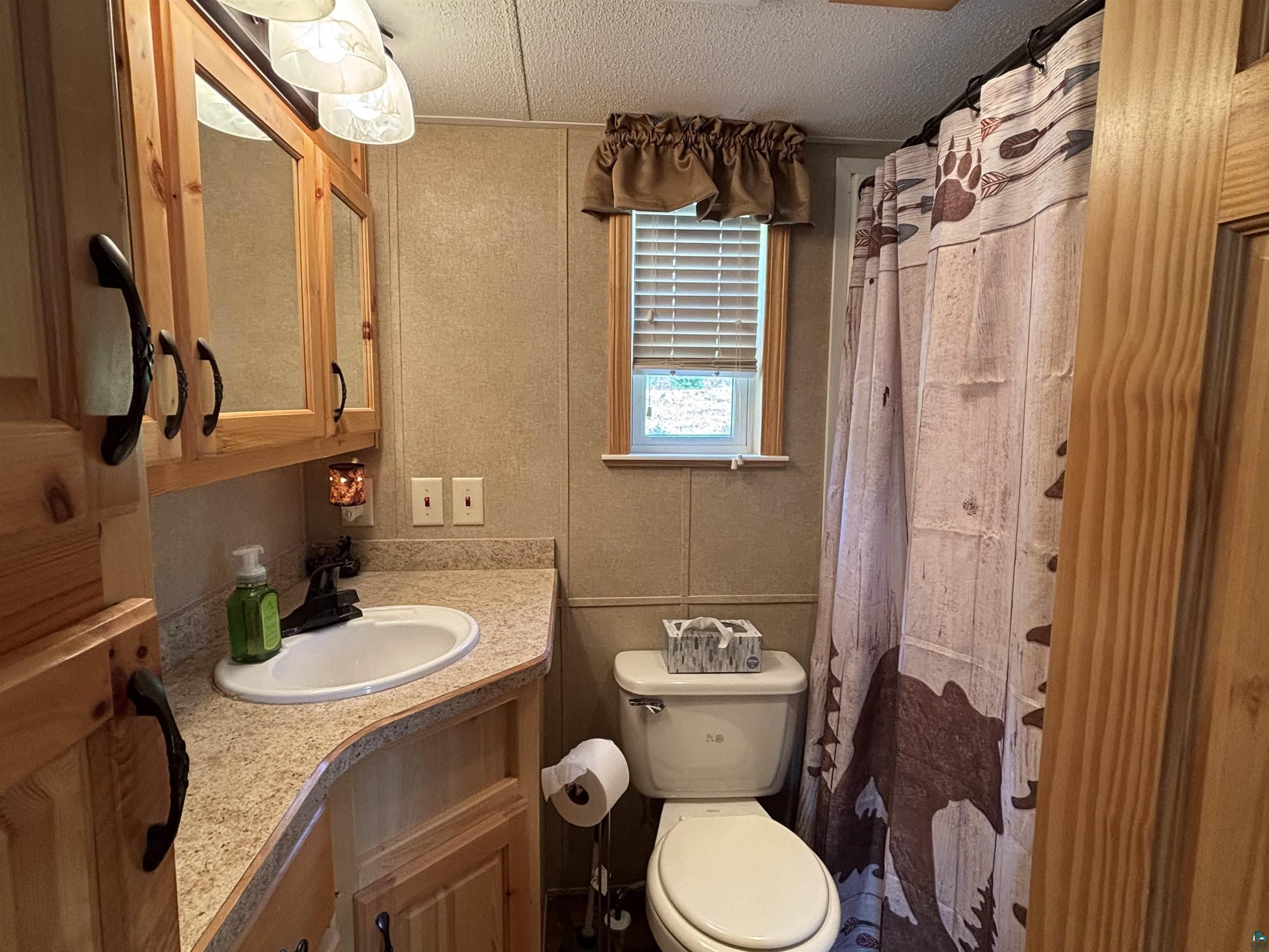 9442 Bear Ridge Dr, Orr, MN 55771 Listing Photo  8
