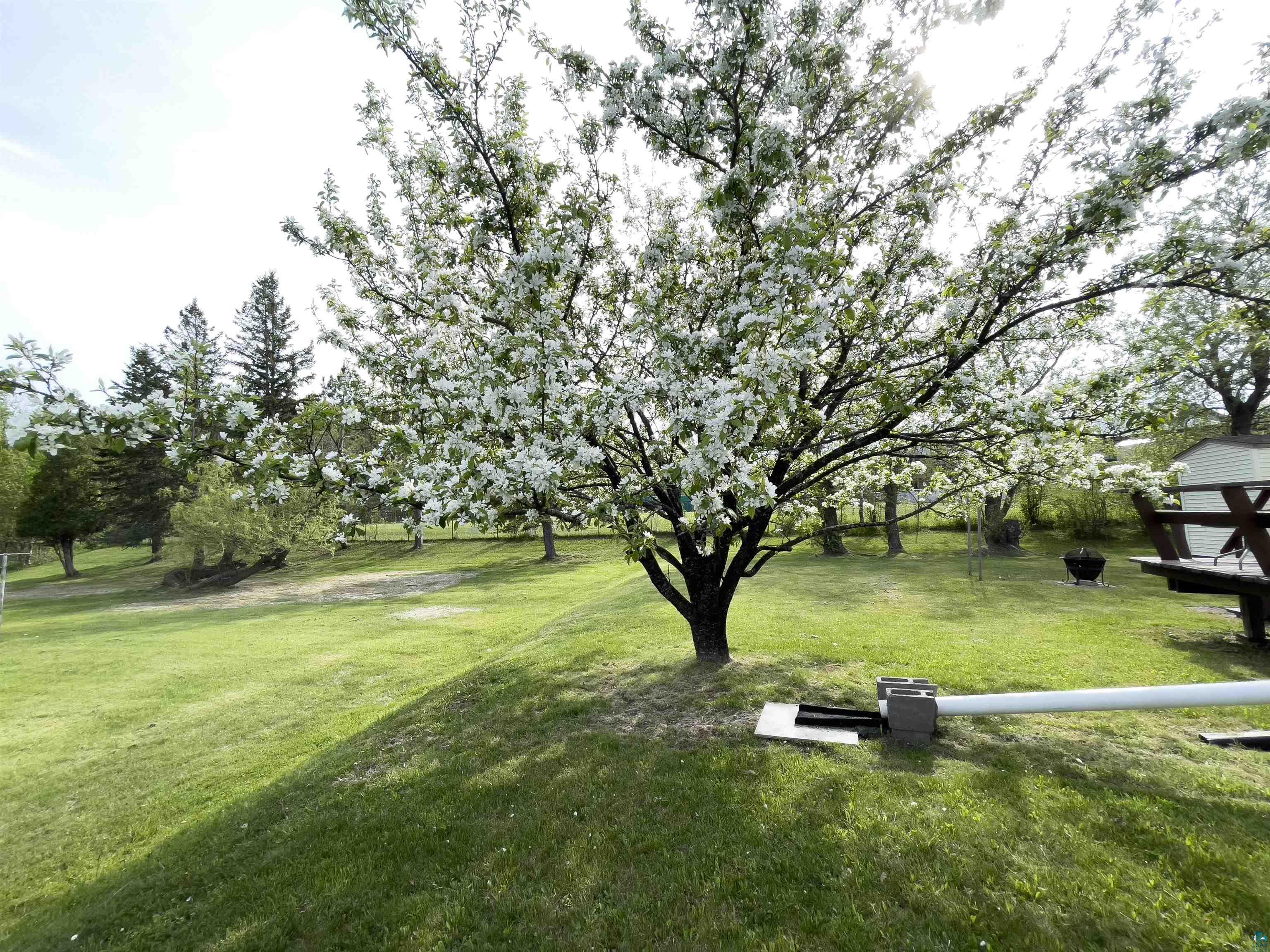41 Bell Cr, Silver Bay, MN 55614 Listing Photo  31