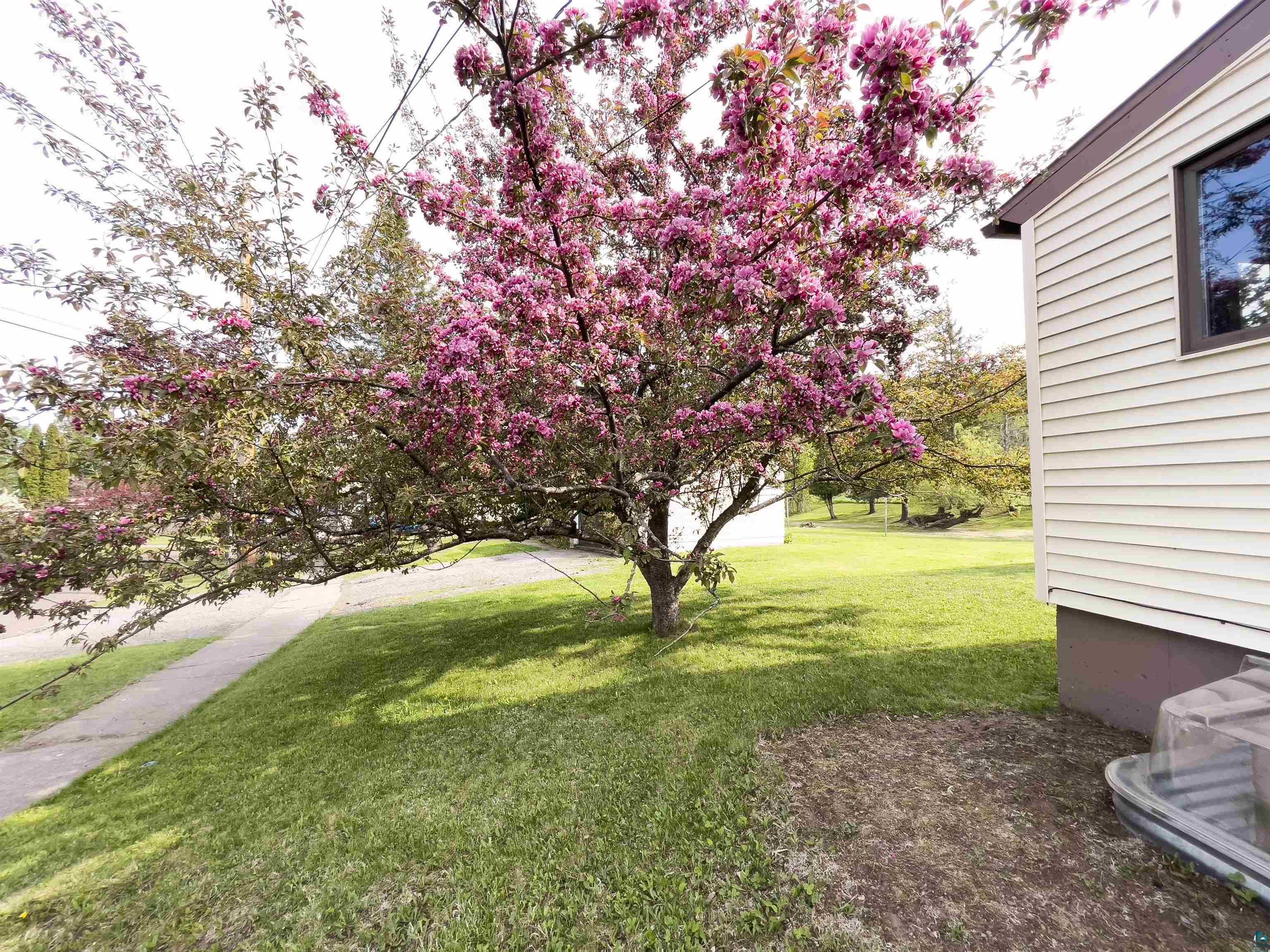 41 Bell Cr, Silver Bay, MN 55614 Listing Photo  32