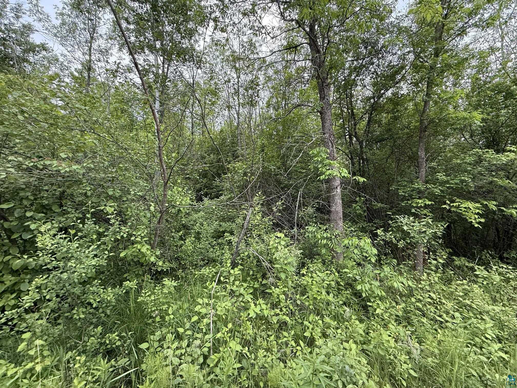 XXX 22nd Street E, Ashland, WI 54806 Listing Photo  9