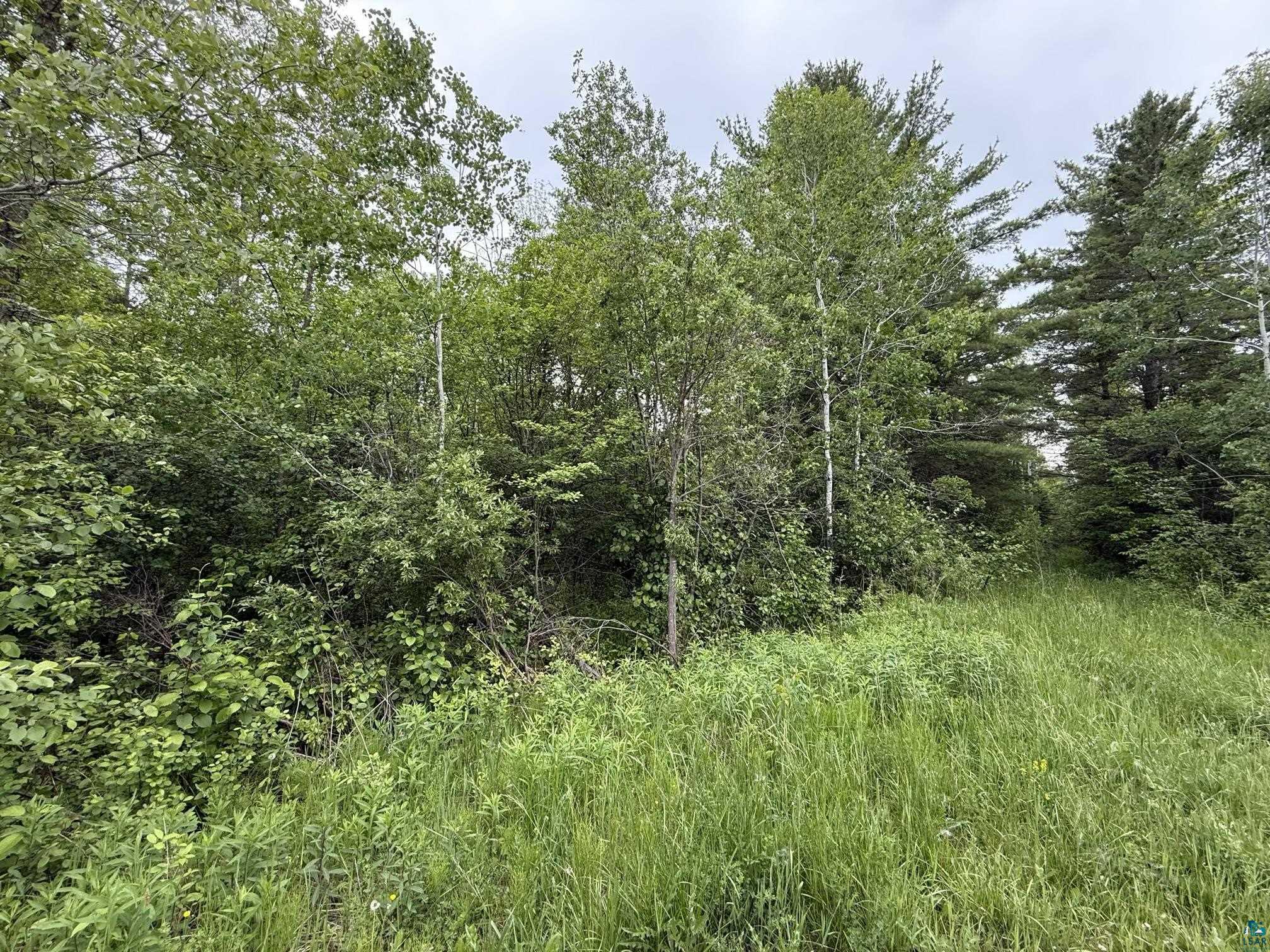 XXX 22nd Street E, Ashland, WI 54806 Listing Photo  10