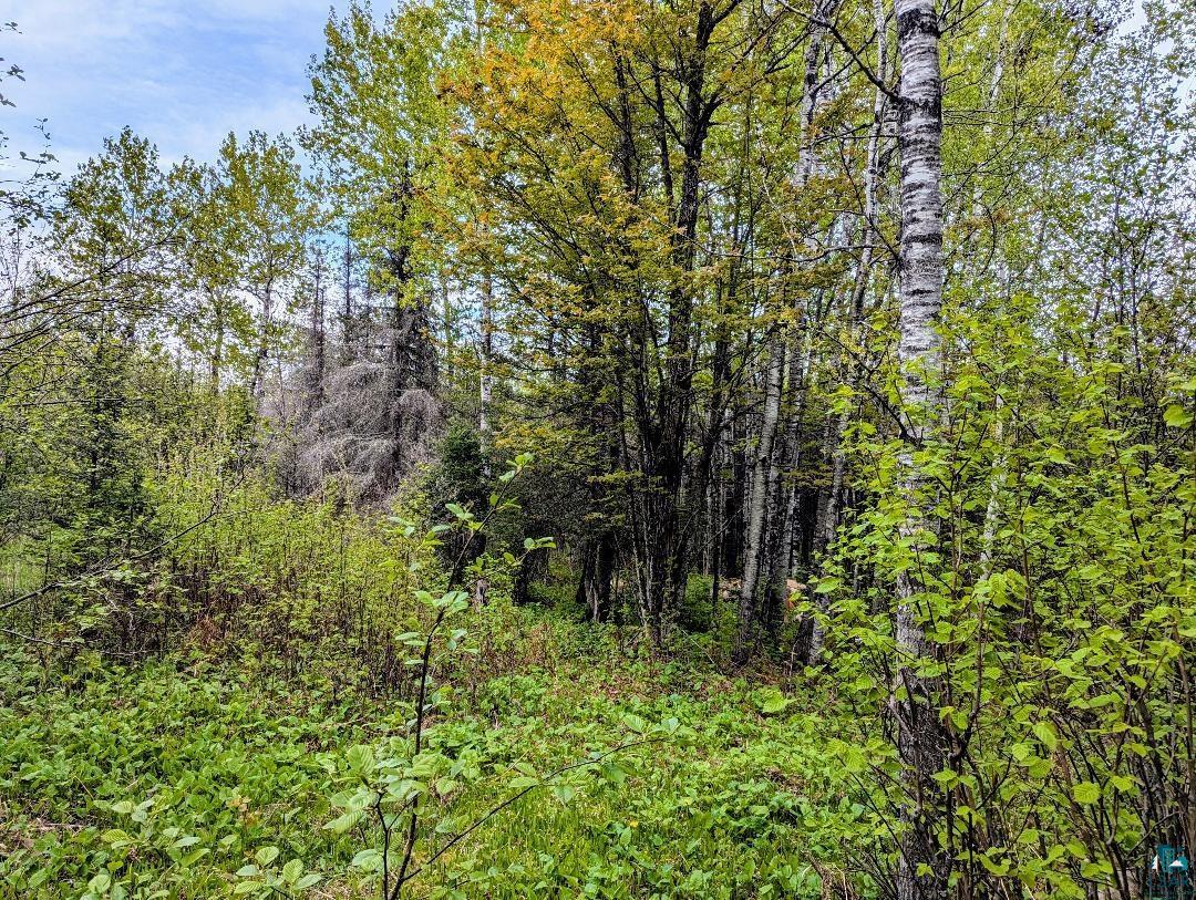 XX37 W Lismore Rd, Duluth, MN 55803 Listing Photo  1