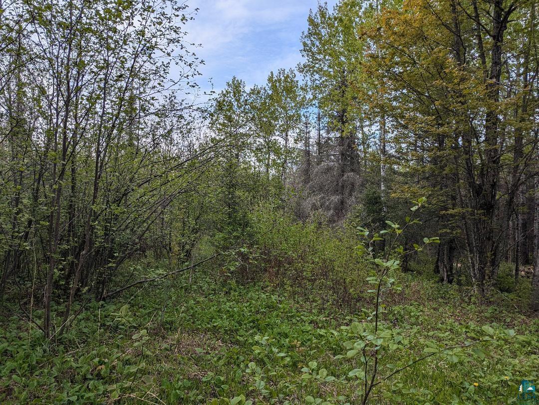 XX37 W Lismore Rd, Duluth, MN 55803 Listing Photo  2