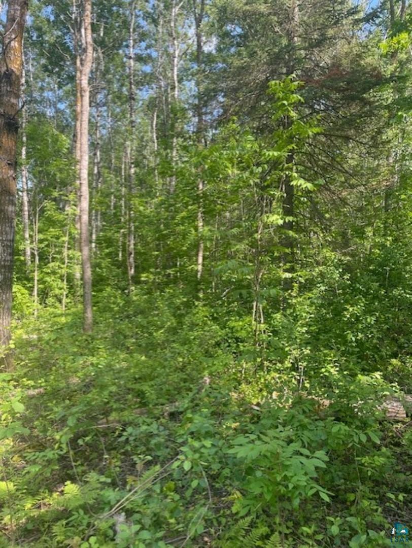 5186 Hermantown Rd, Hermantown, MN 55811 Listing Photo  7