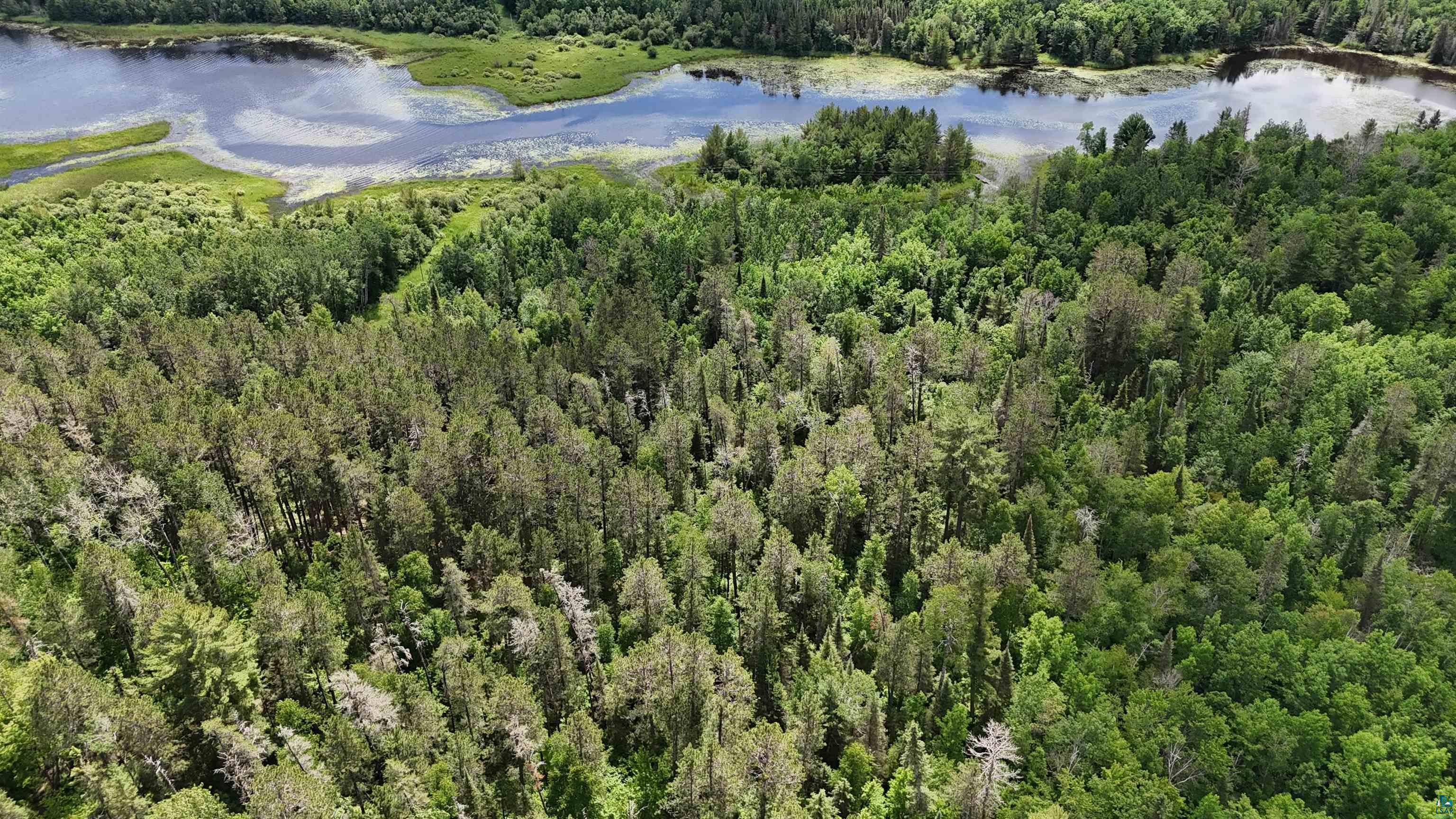 TBD 40 Crane Lake, Crane Lake, MN 55725 Listing Photo  18