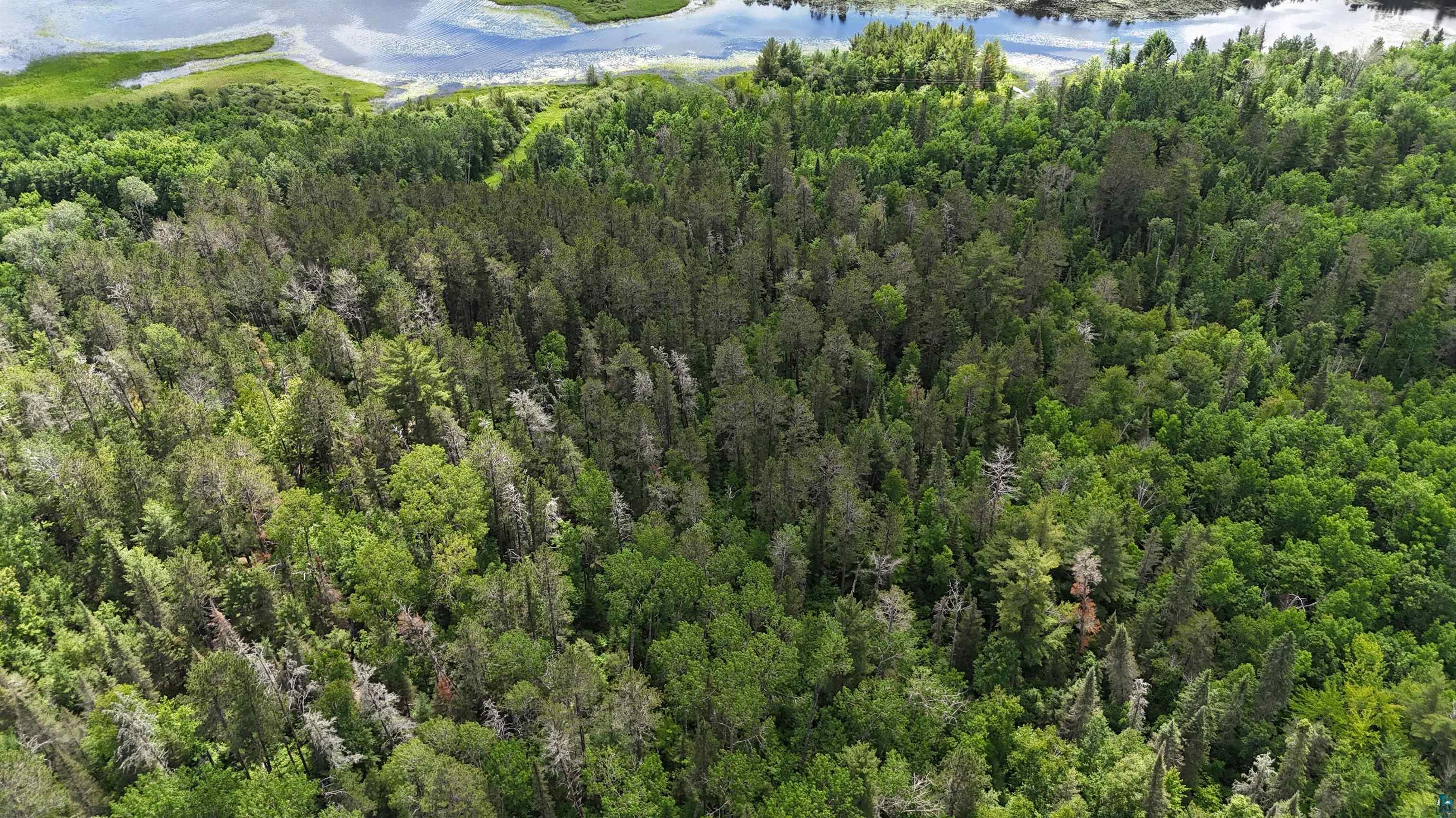 TBD 40 Crane Lake, Crane Lake, MN 55725 Listing Photo  19