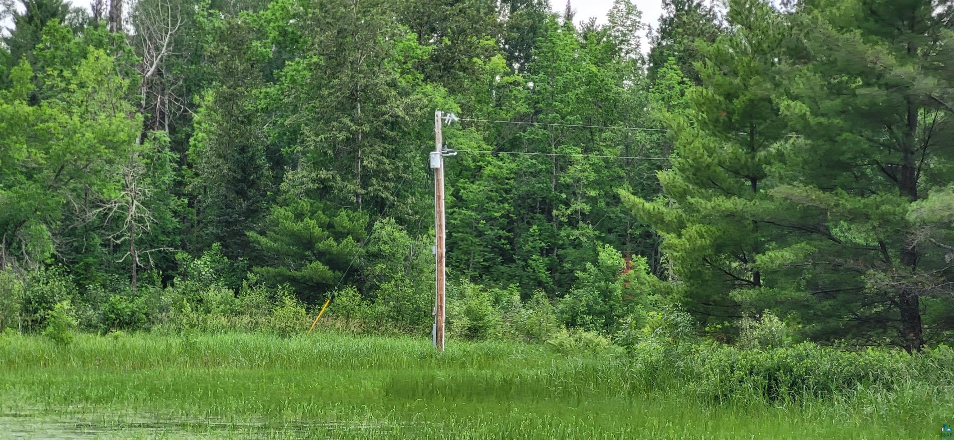 TBD 40 Crane Lake, Crane Lake, MN 55725 Listing Photo  7
