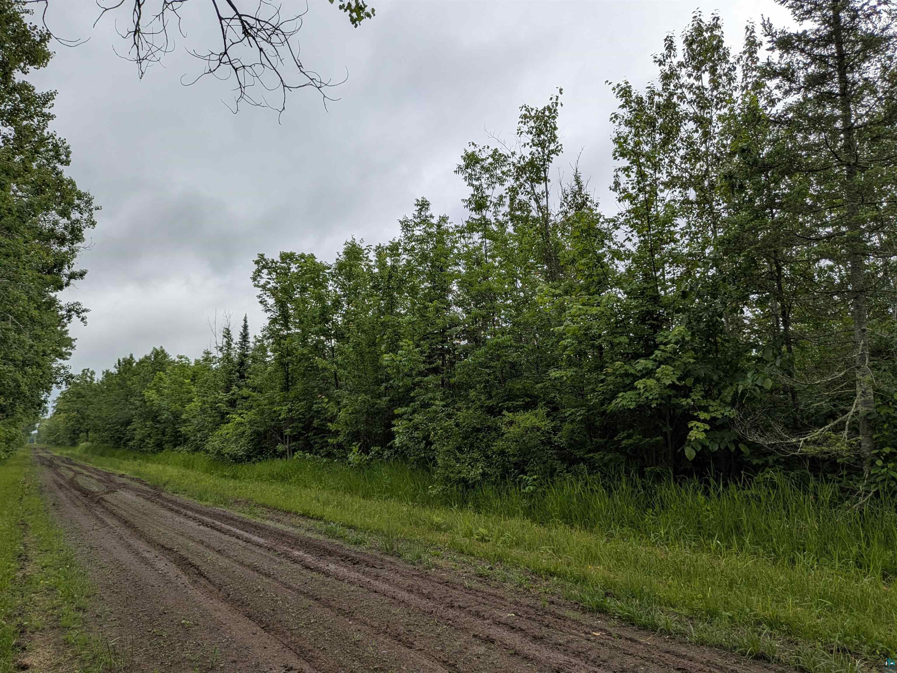 80 Acres on County Line Rd, Brule, WI 54820 Listing Photo  2