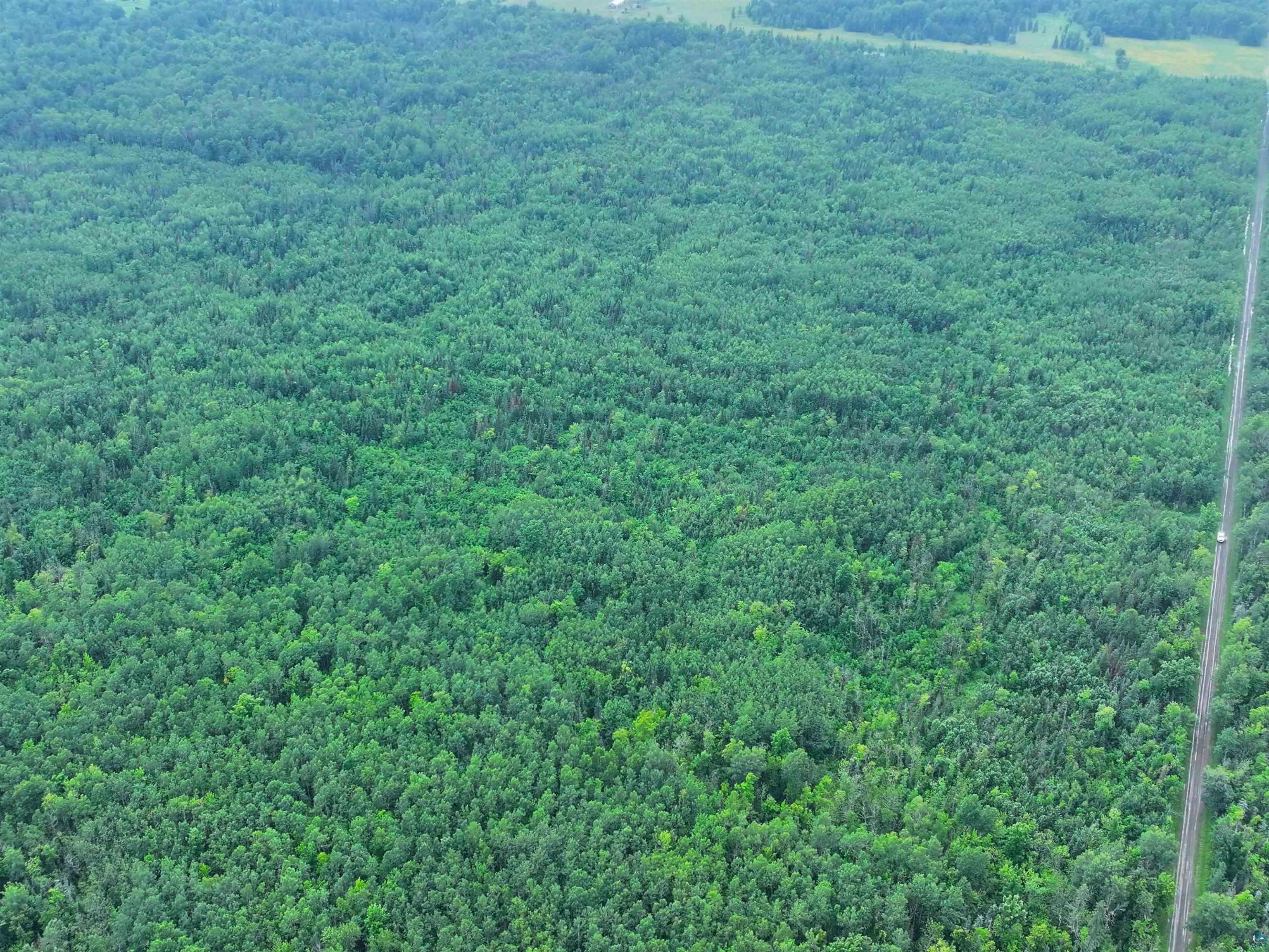 80 Acres on County Line Rd, Brule, WI 54820 Listing Photo  9
