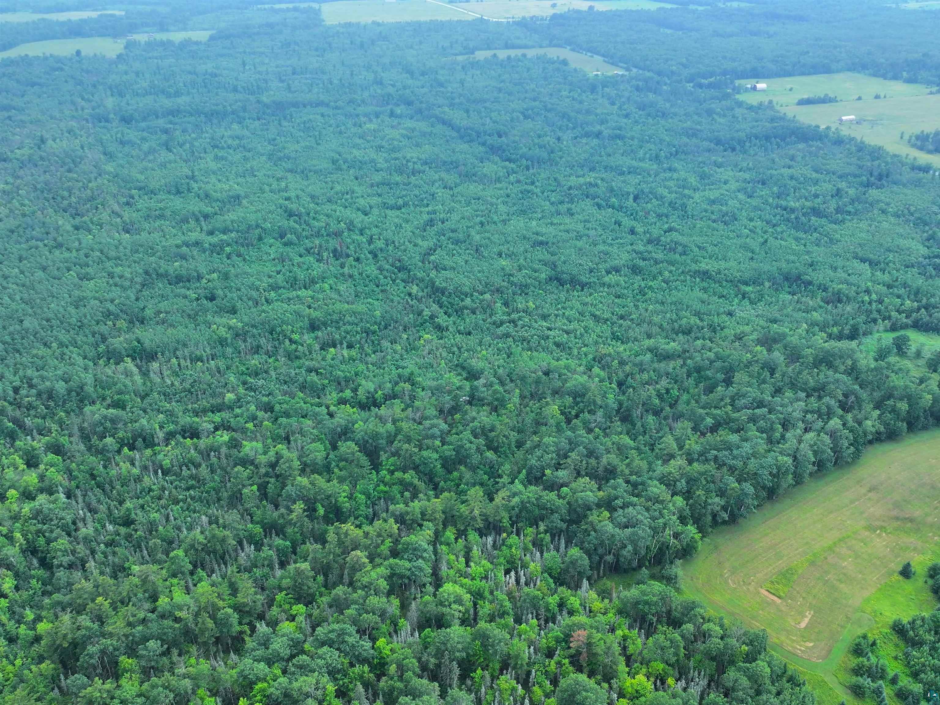 80 Acres on County Line Rd, Brule, WI 54820 Listing Photo  10