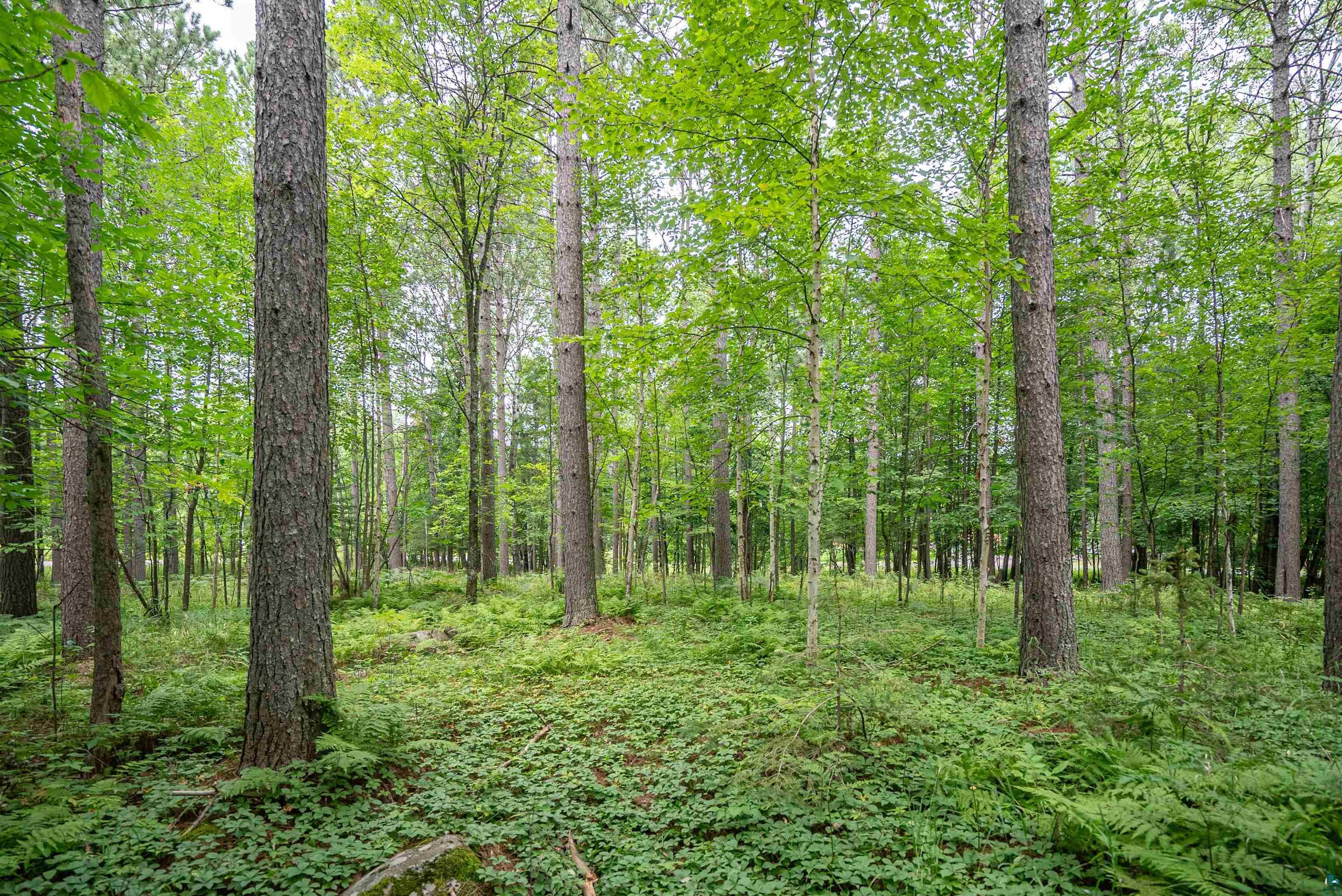 51xx Lindahl Rd, Duluth, MN 55811 Listing Photo  3